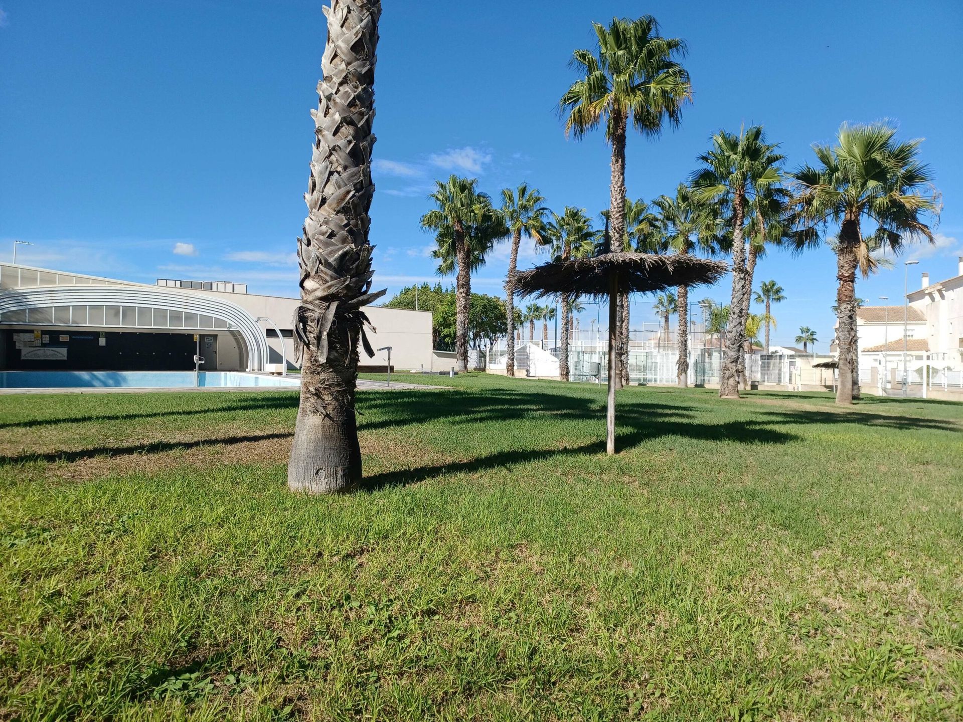 House in Torre-Pacheco, Región de Murcia 12798949