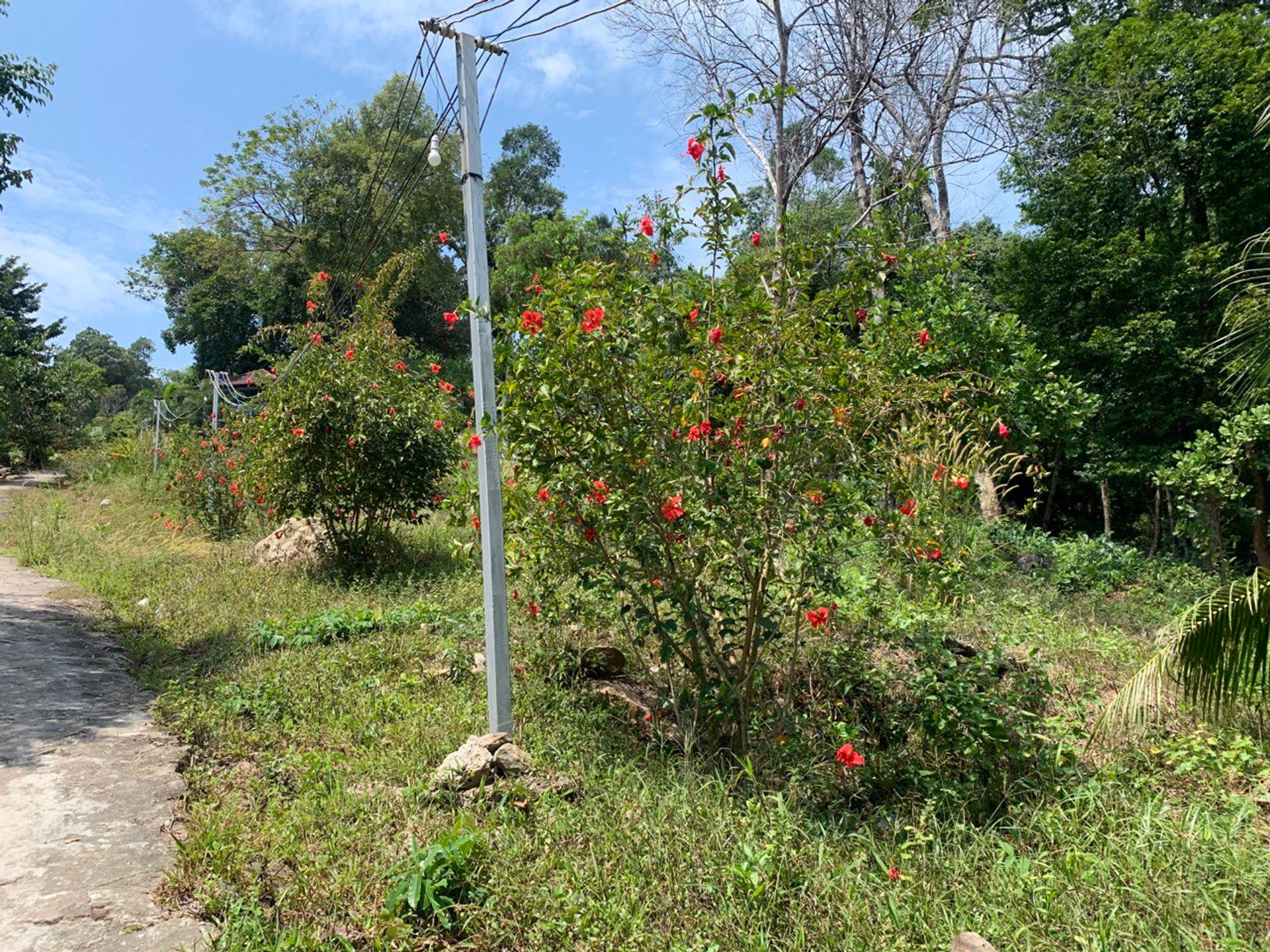 жилой дом в Preah Sihanouk, Sihanoukville 12799142