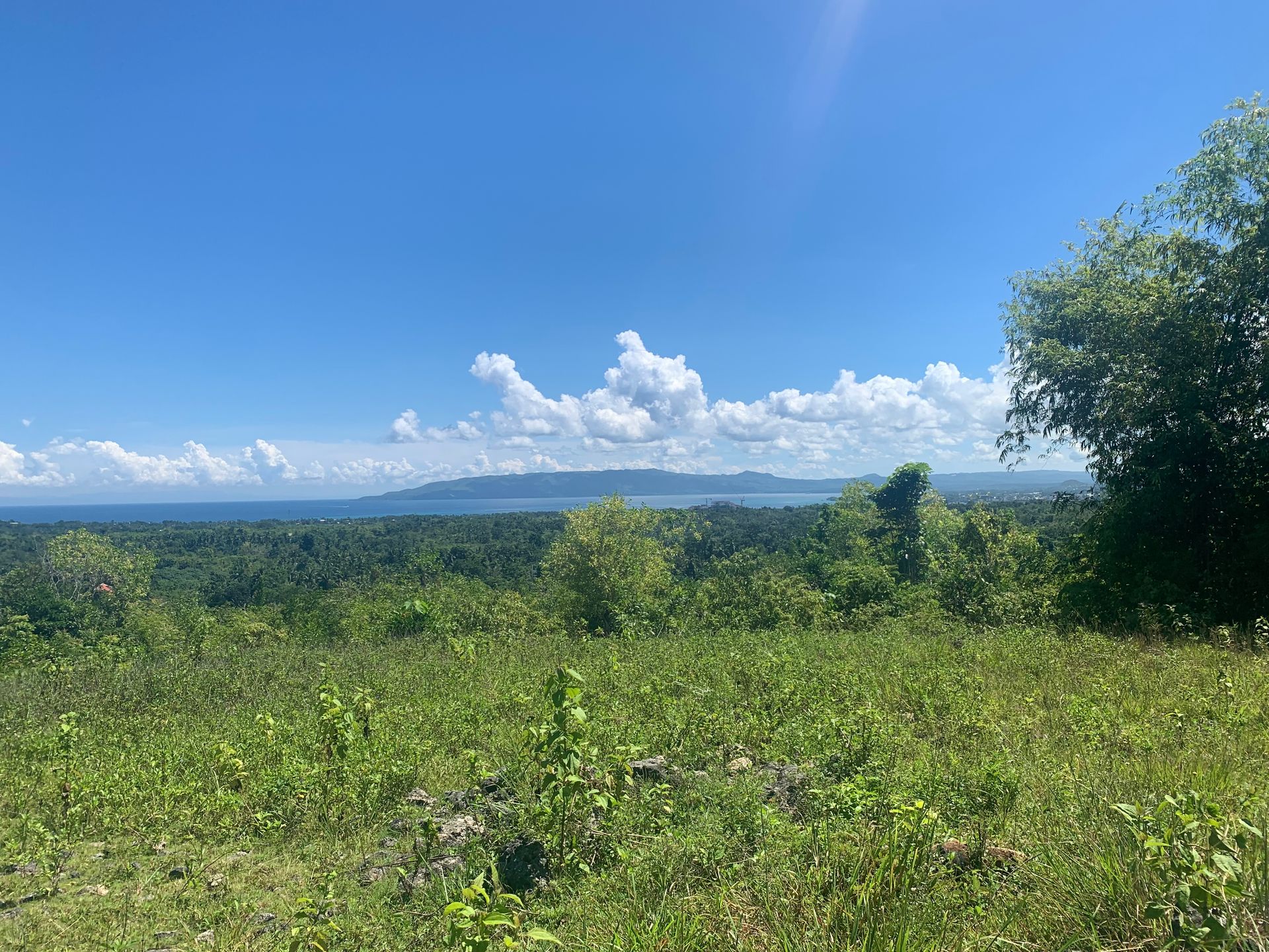 rumah dalam Tinago, Bohol 12799144