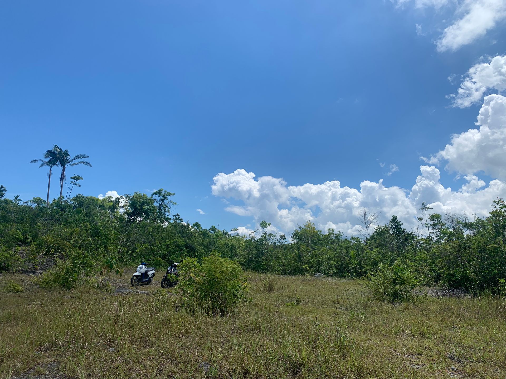 rumah dalam Tinago, Bohol 12799144