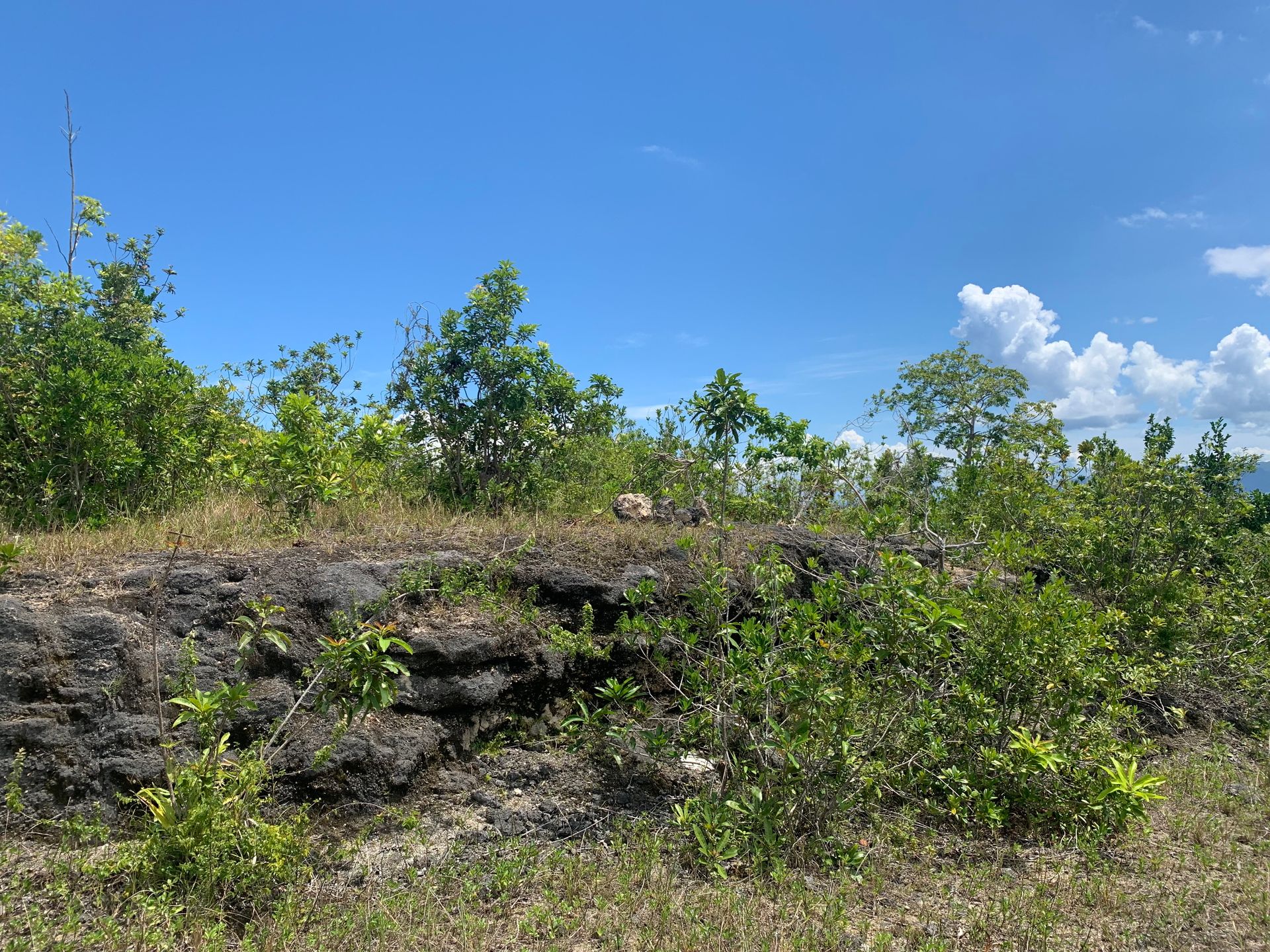 rumah dalam Tinago, Bohol 12799144