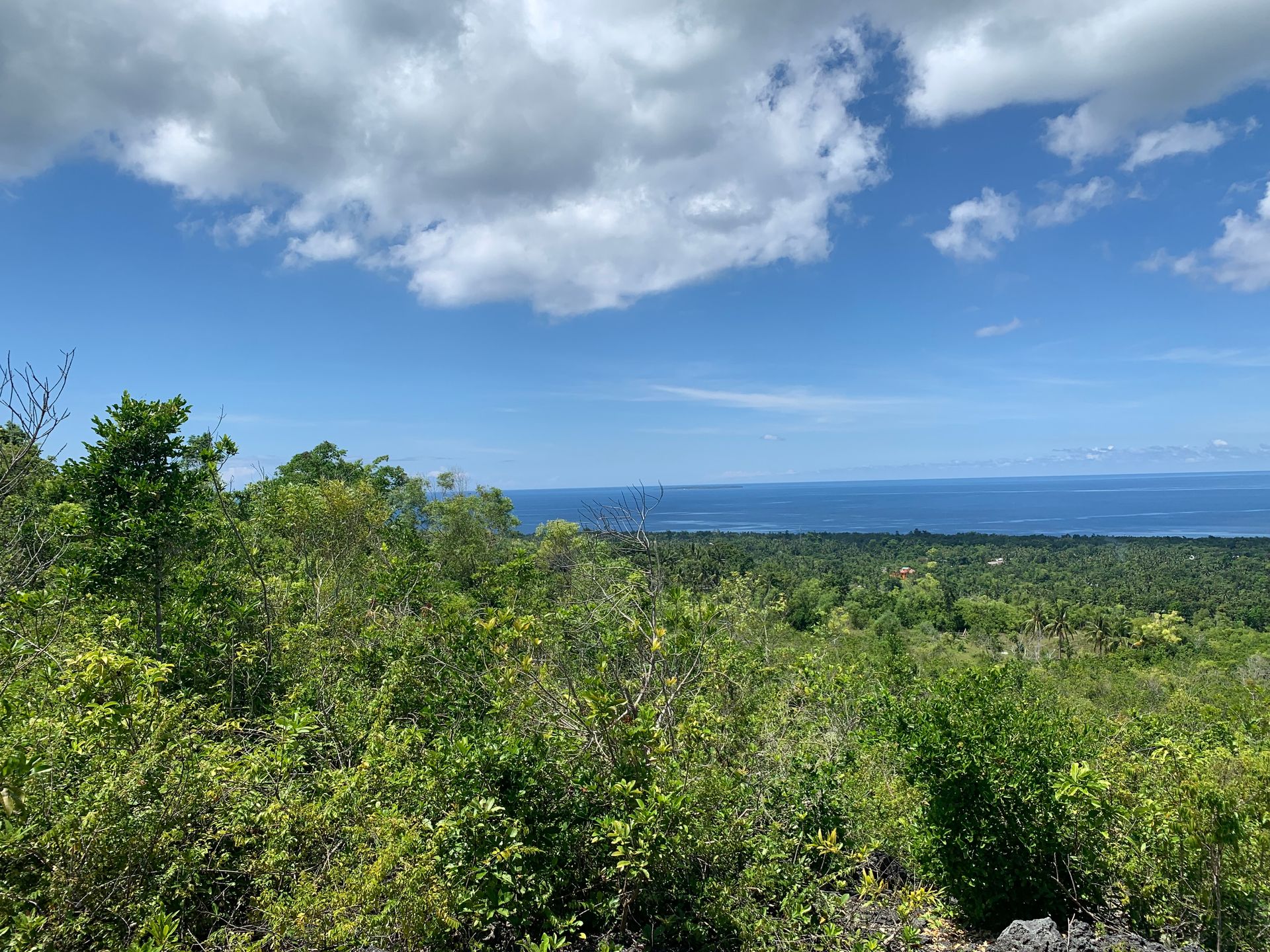 Talo sisään Tinago, Bohol 12799144