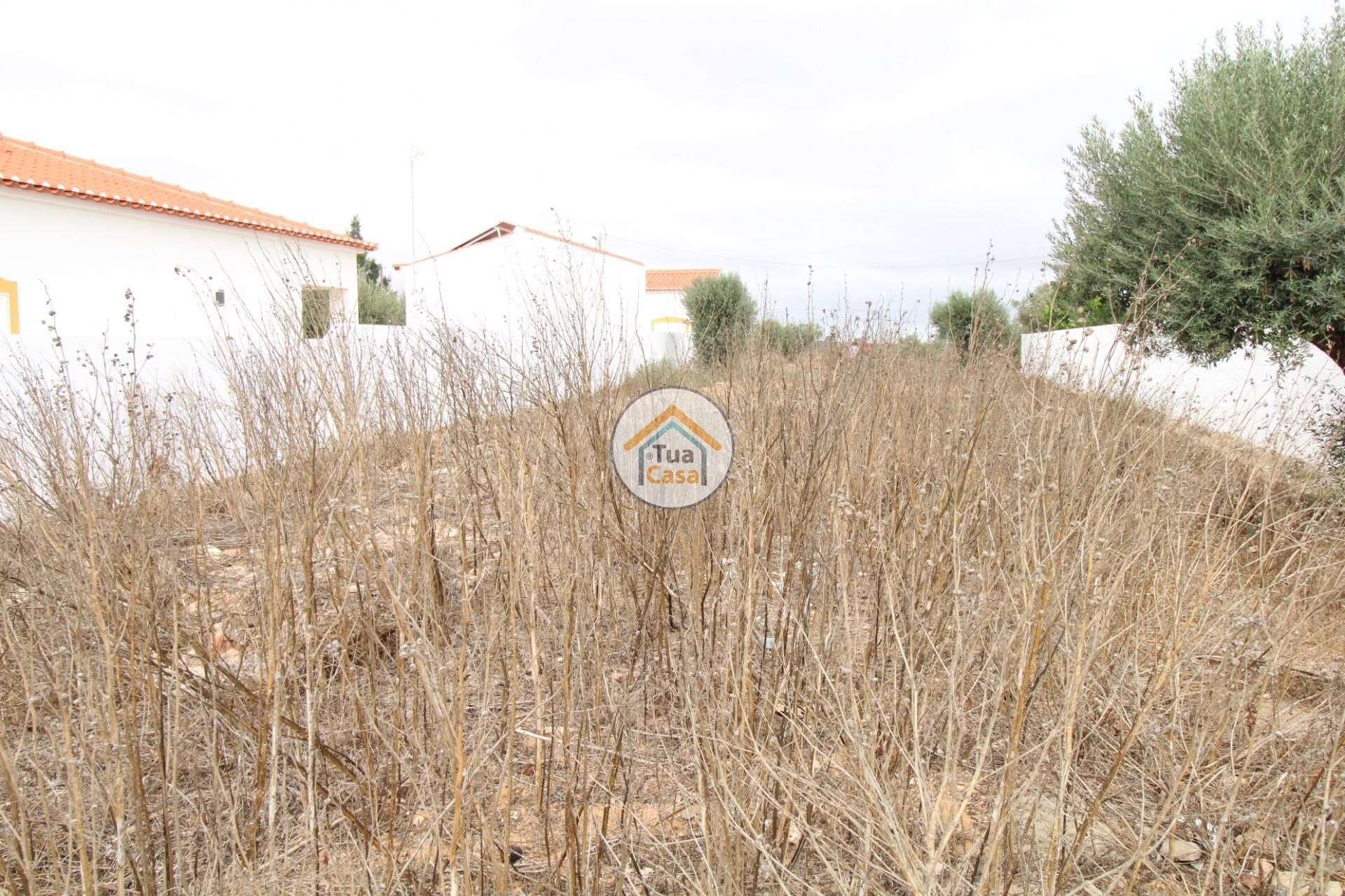 Land im Castro Verde, Beja 12799600