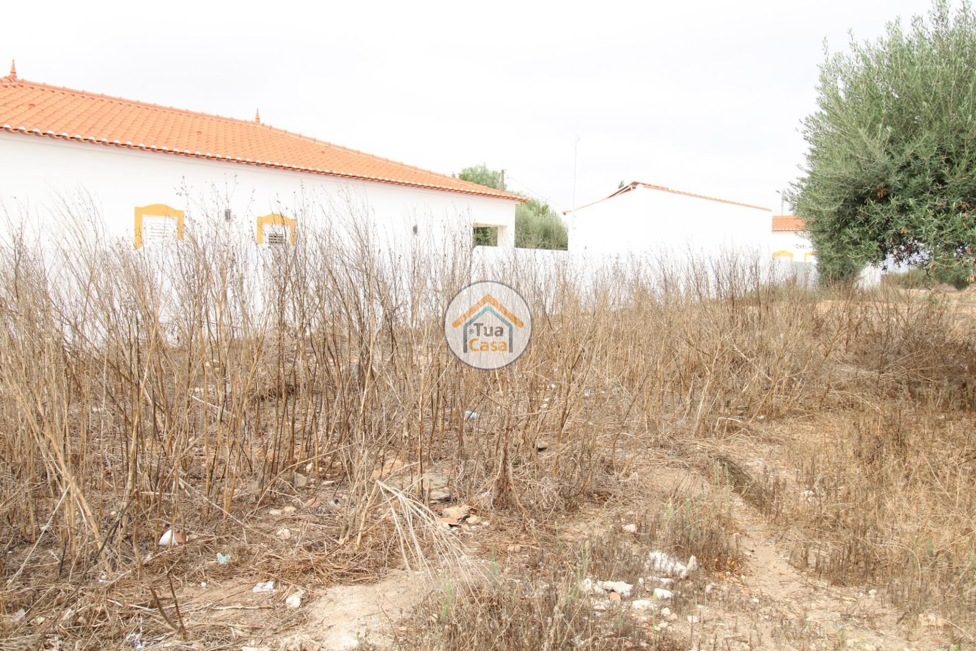 Land i Castro Verde, Beja 12799600