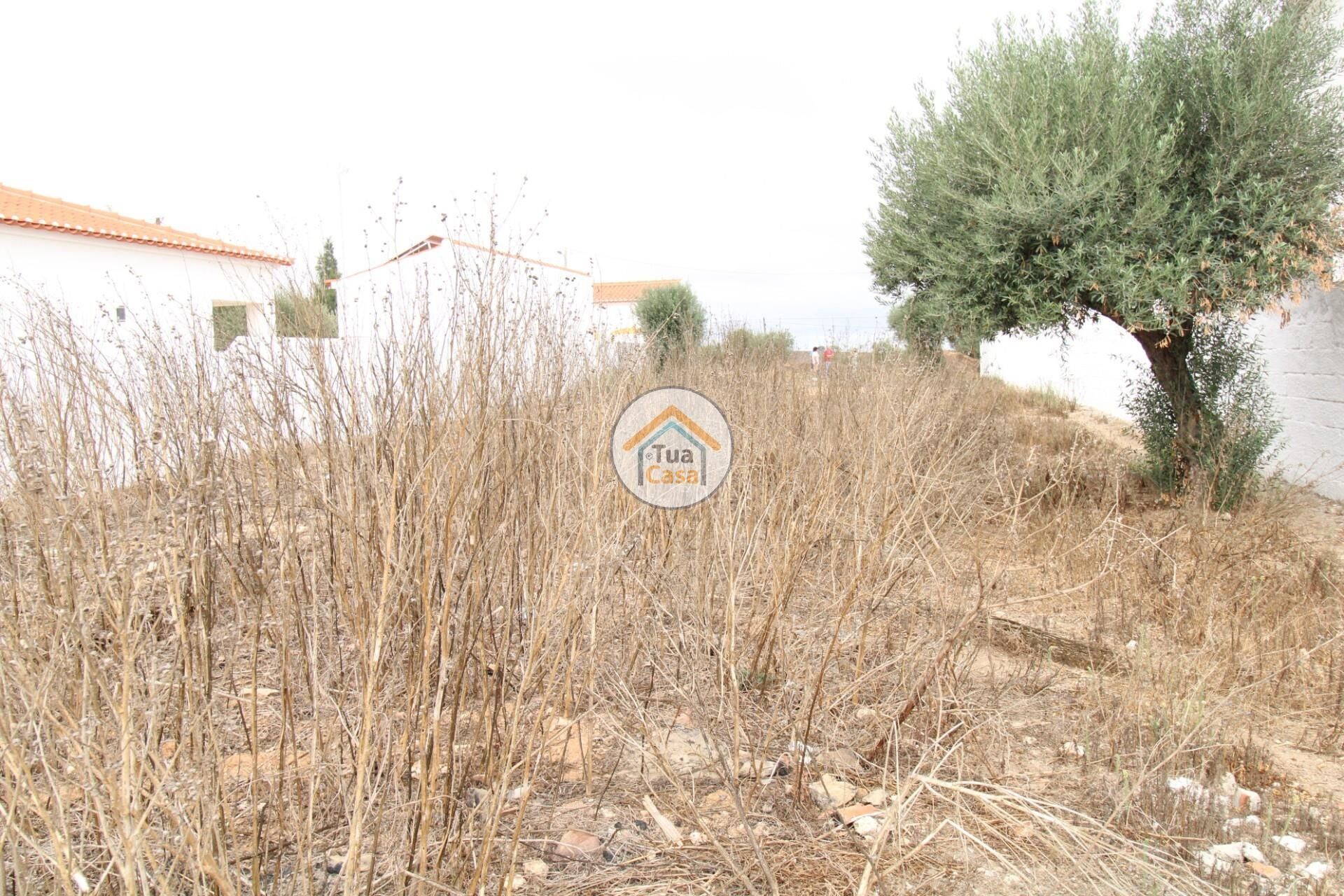 Land im Castro Verde, Beja 12799600