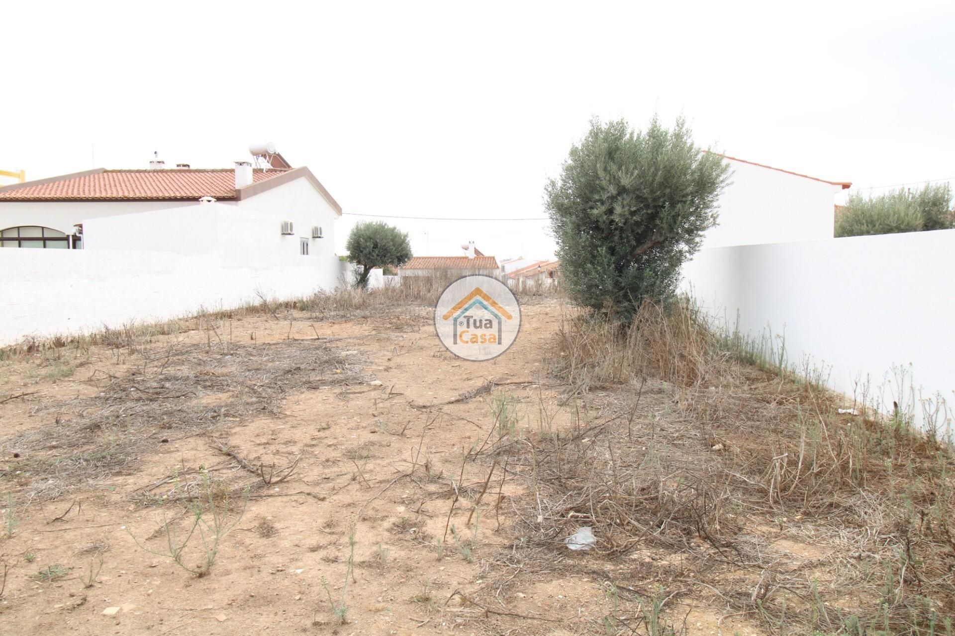 Land i Castro Verde, Beja 12799600