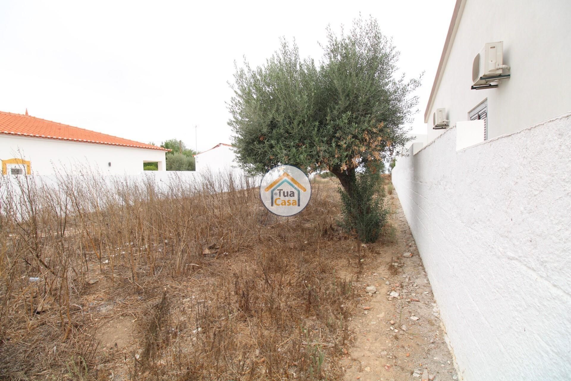 Land in Castro Verde, Beja 12799600