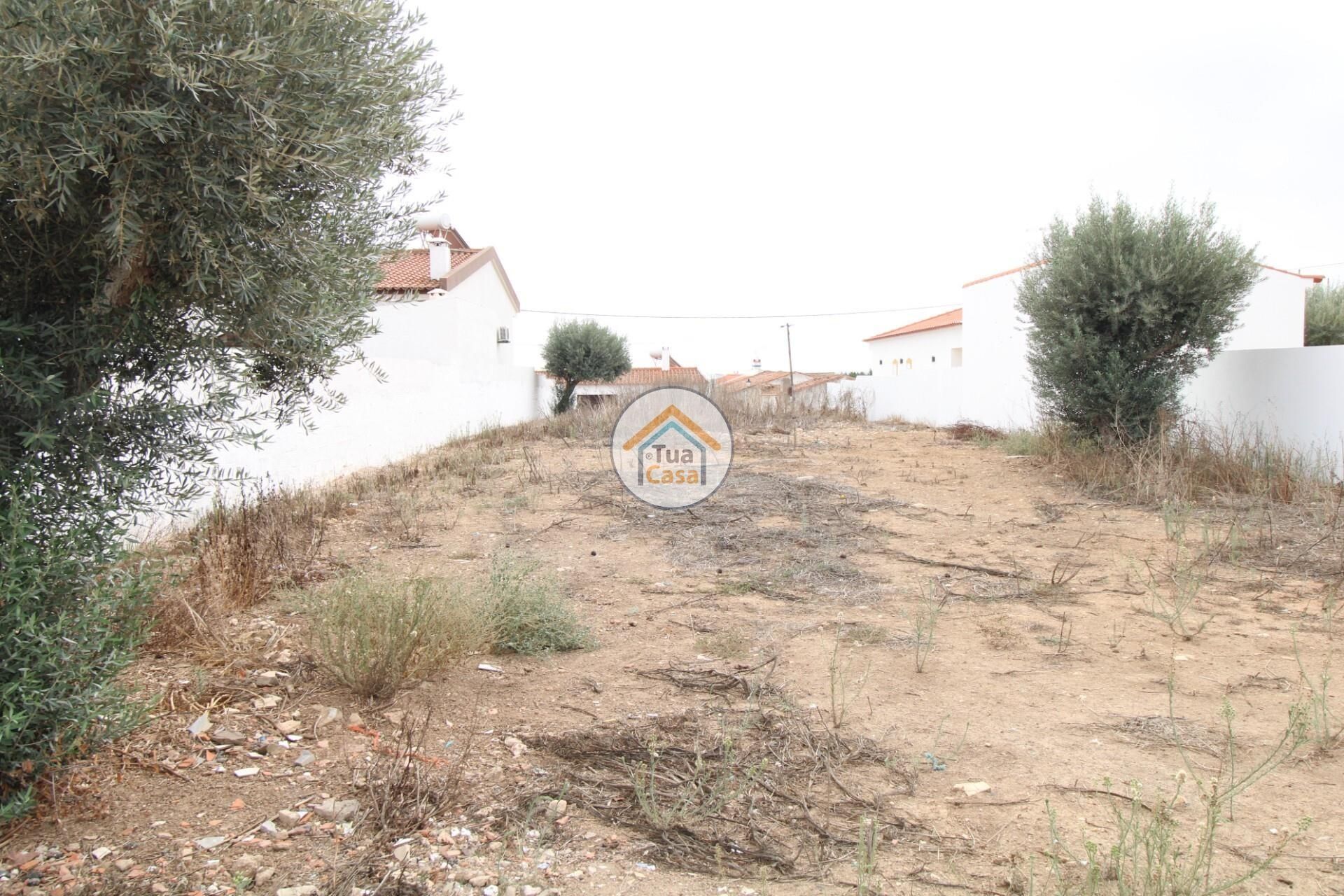 Land i Castro Verde, Beja 12799600