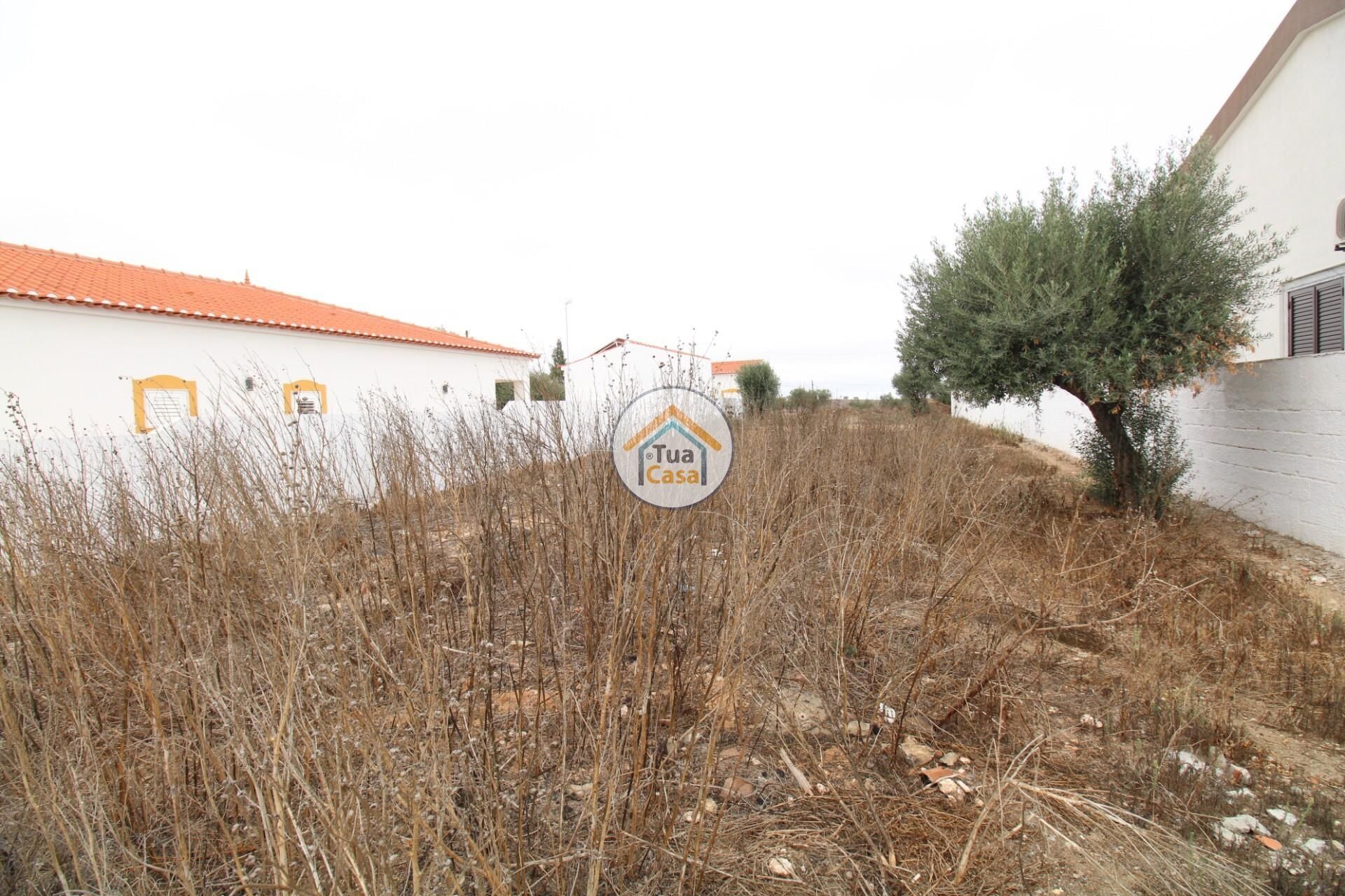 Land in Castro Verde, Beja 12799600