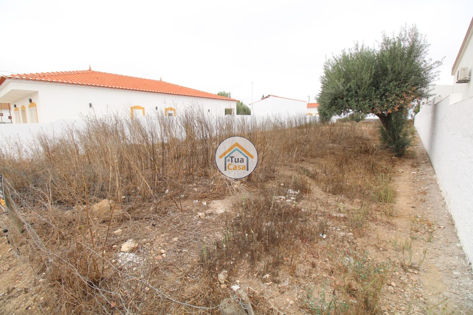 Land im Castro Verde, Beja 12799600