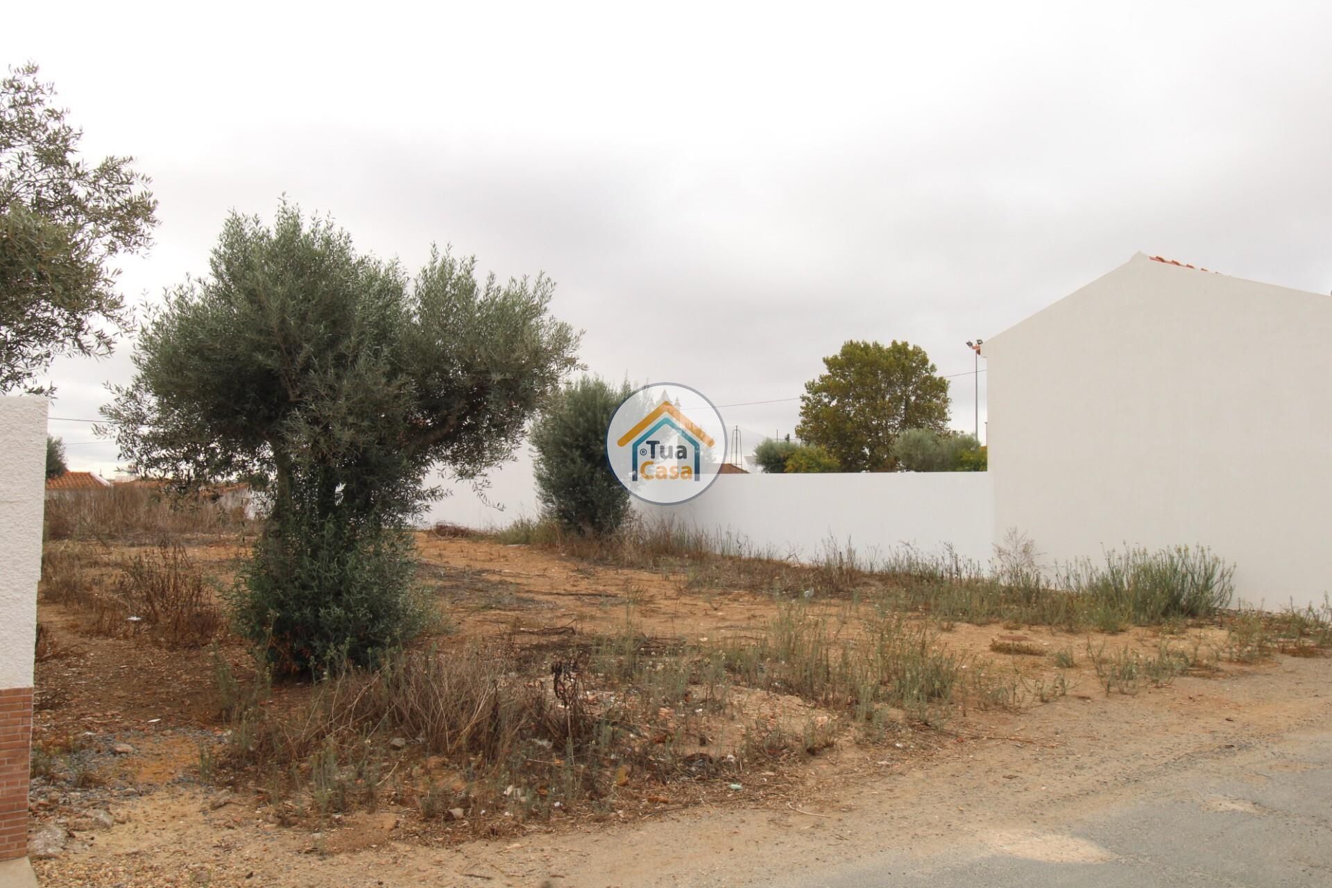 Land im Castro Verde, Beja 12799600