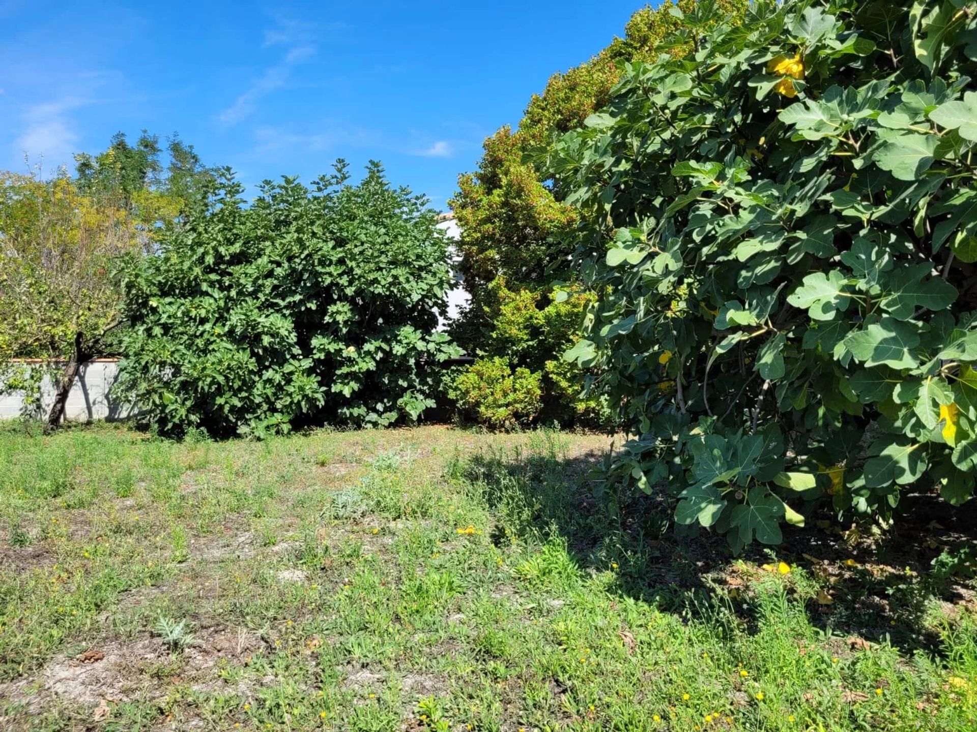 Hus i Villeneuve-lès-Montréal, Aude 12800370