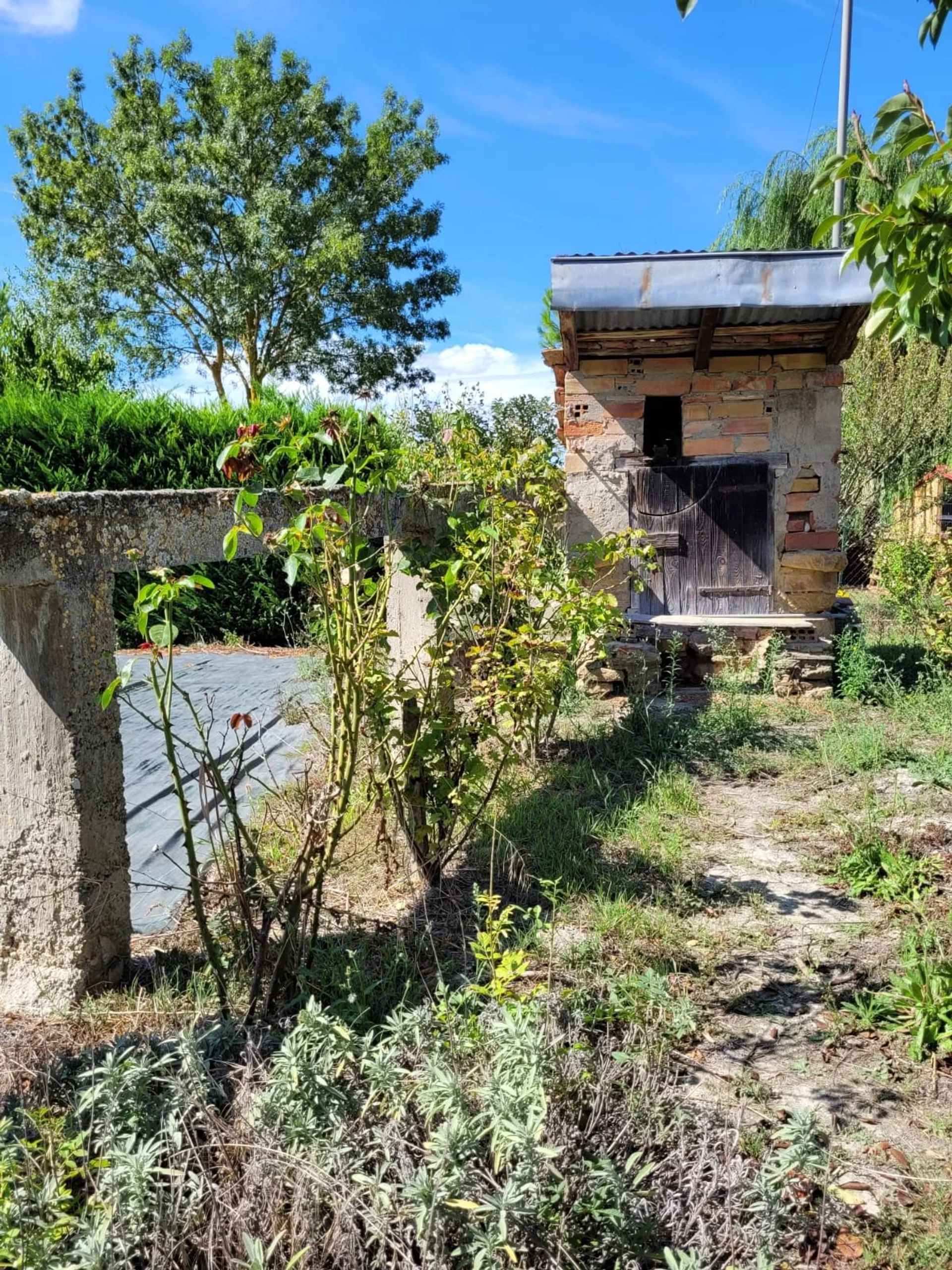 Hus i Villeneuve-lès-Montréal, Aude 12800370