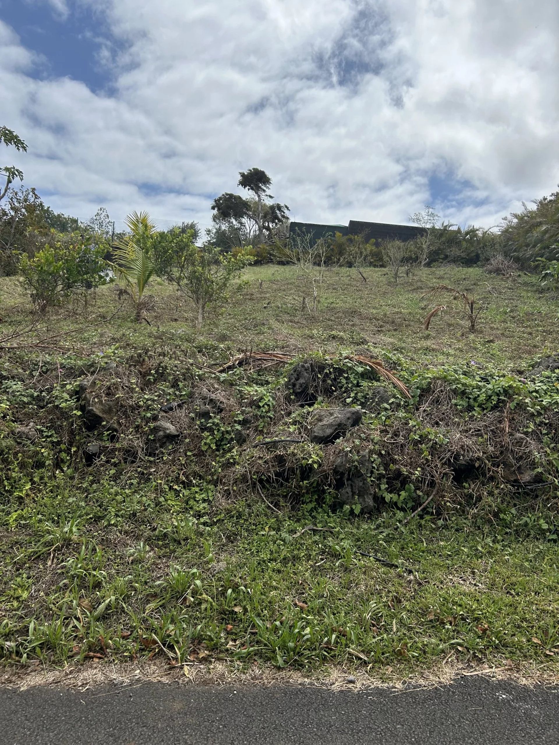 Jord i Saint-Pierre, La Réunion 12800453