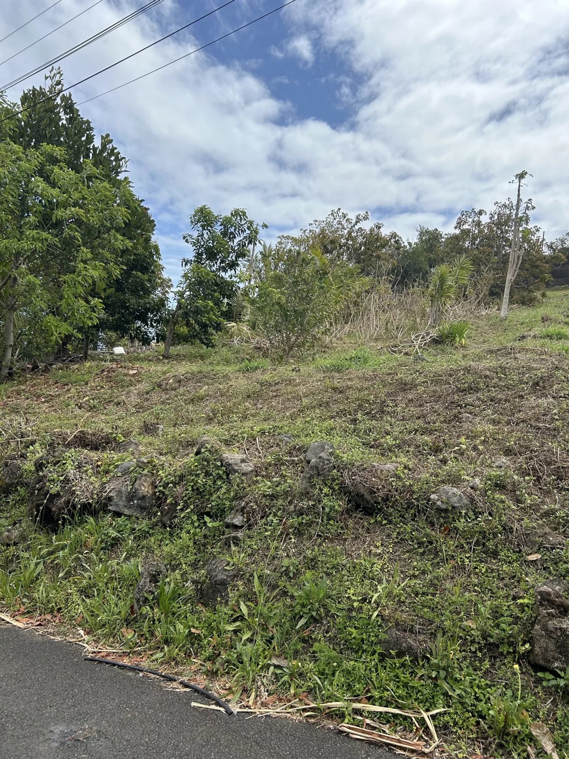 Tierra en Saint-Pierre, La Réunion 12800454