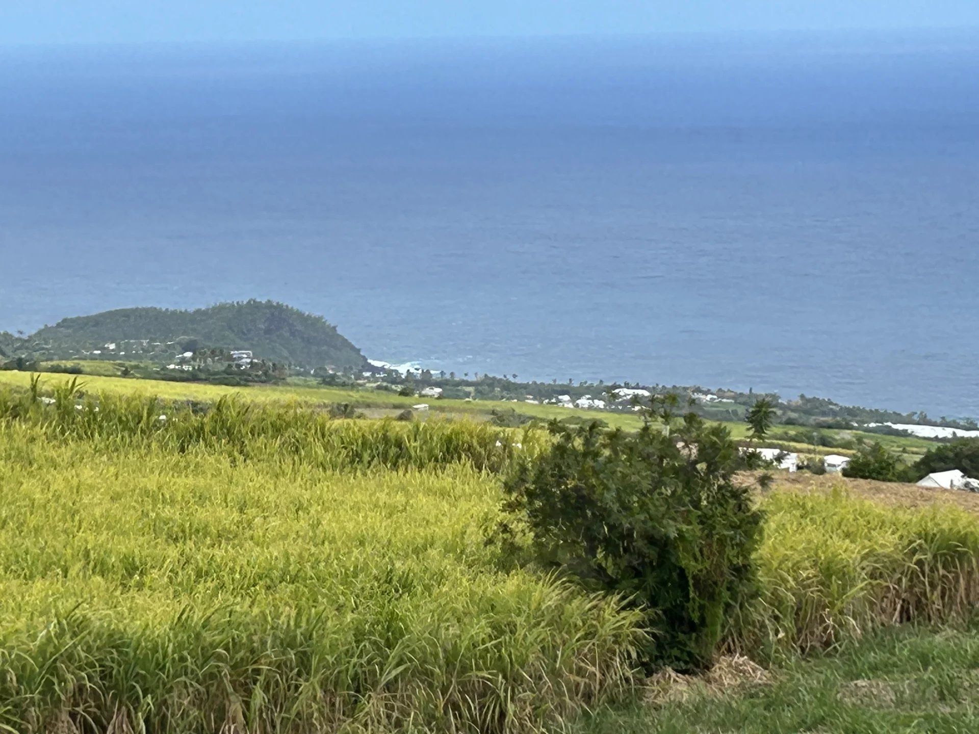 Reclame in Saint-Pierre, La Réunion 12800456