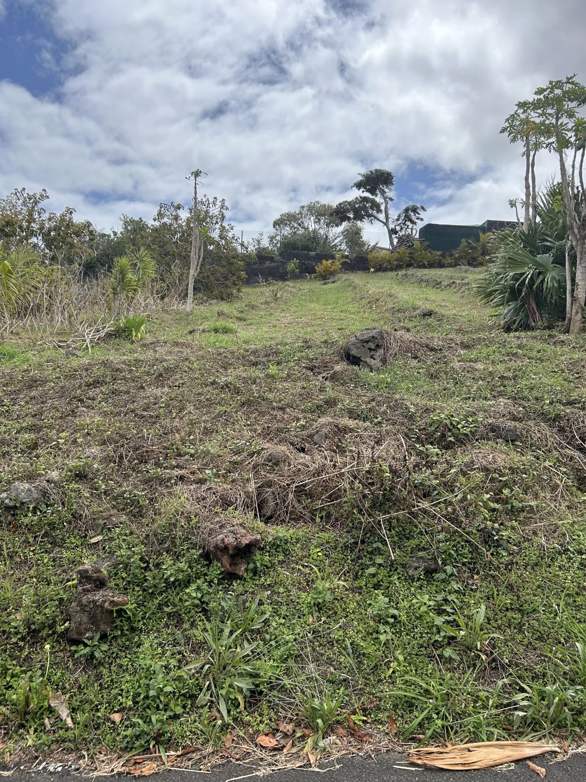 Tanah dalam Saint-Pierre, La Réunion 12800456