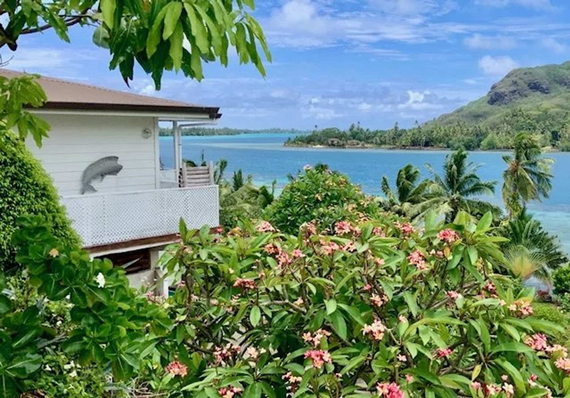 Hus i Huahine, Îles Sous-le-Vent 12800475