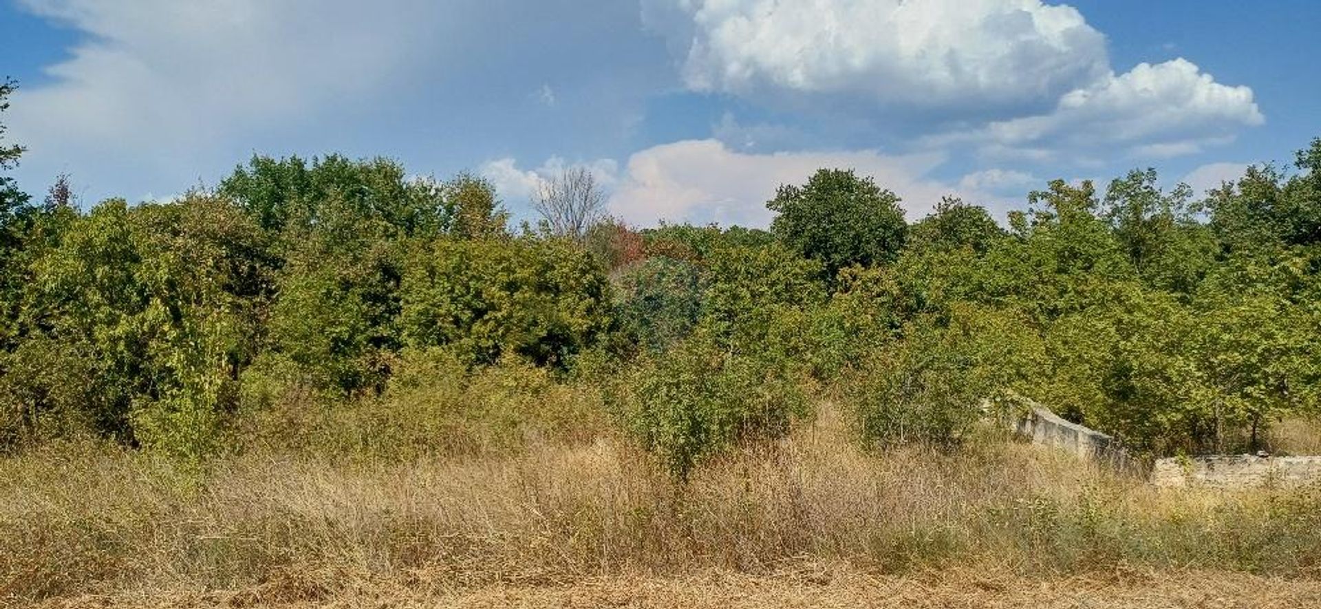 Land in Loborika, Istarska županija 12801180