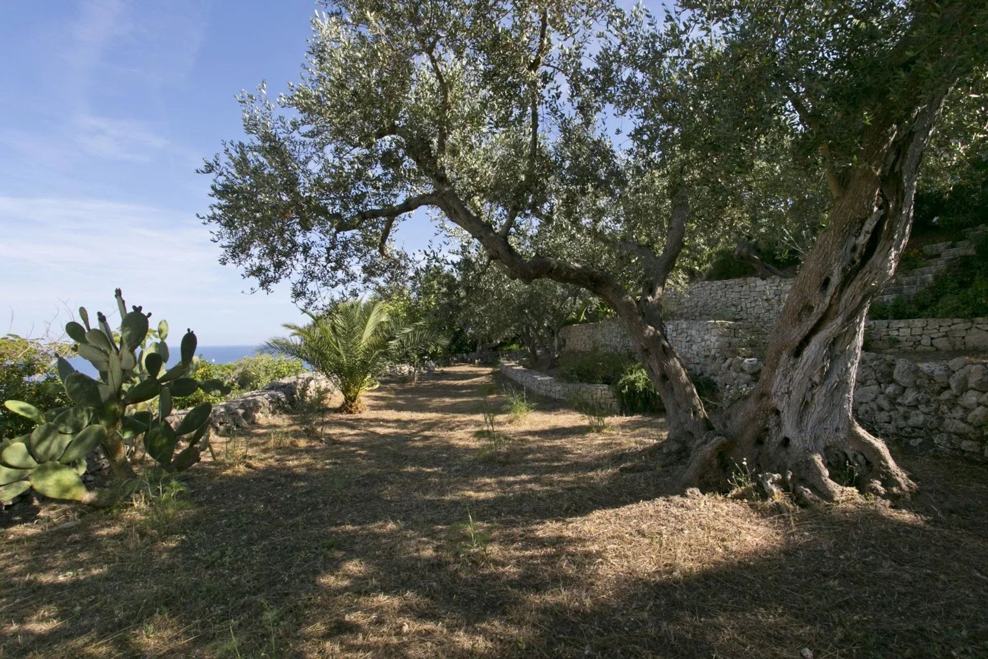 Hus i Gagliano del Capo, Lecce 12801285