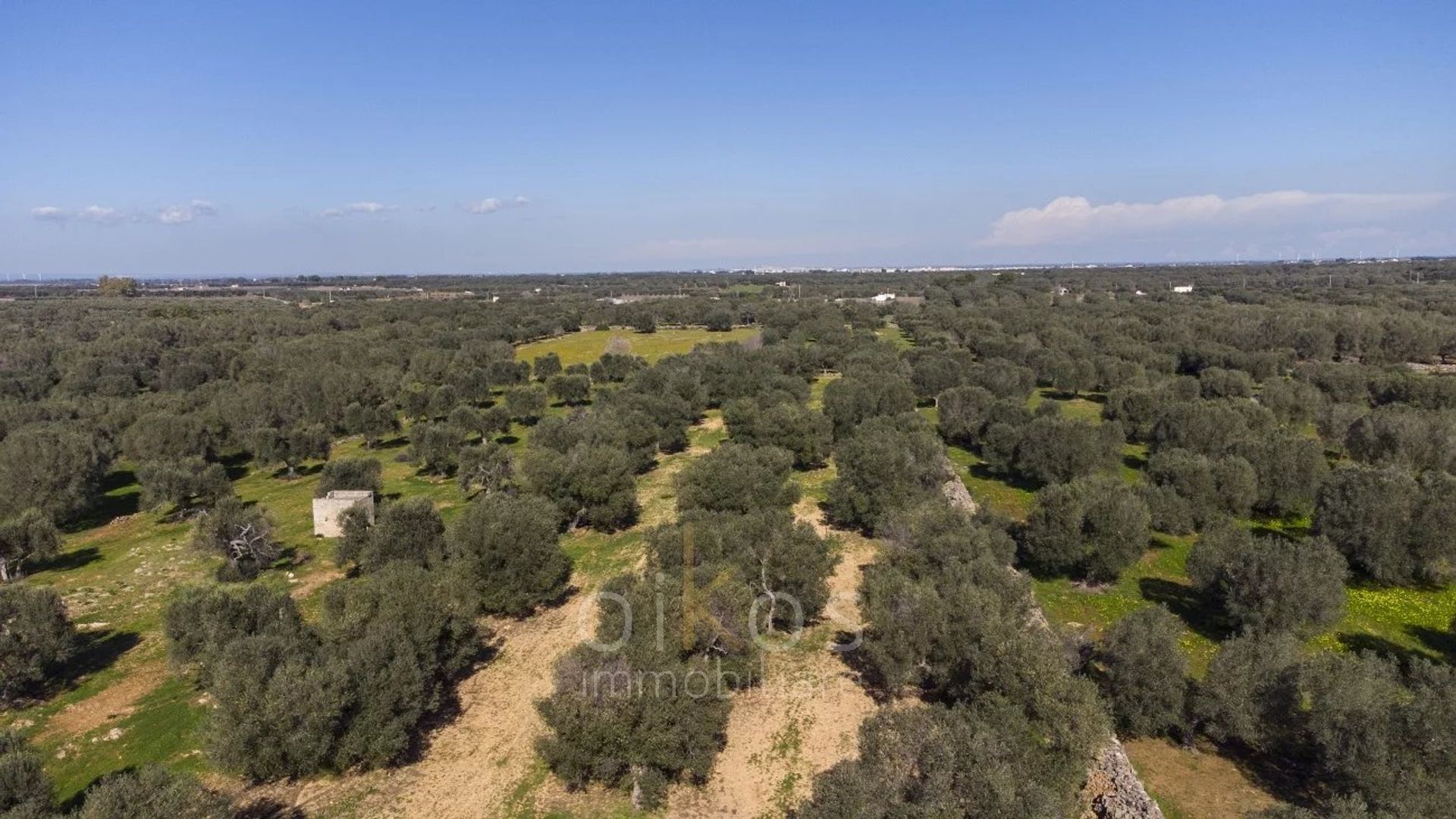 Tierra en Manduria, Apulia 12801288