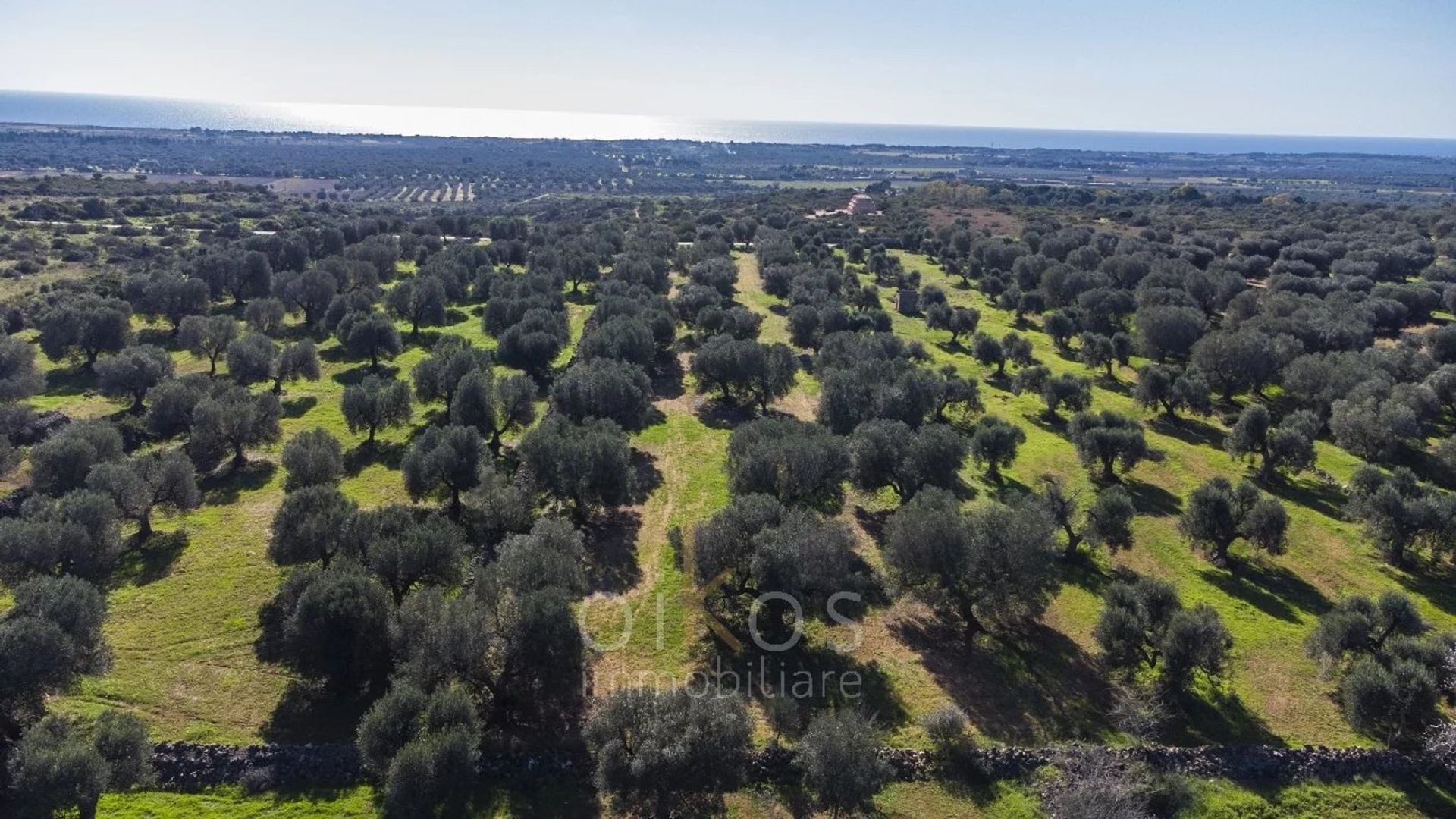 Land i Manduria, Puglia 12801288