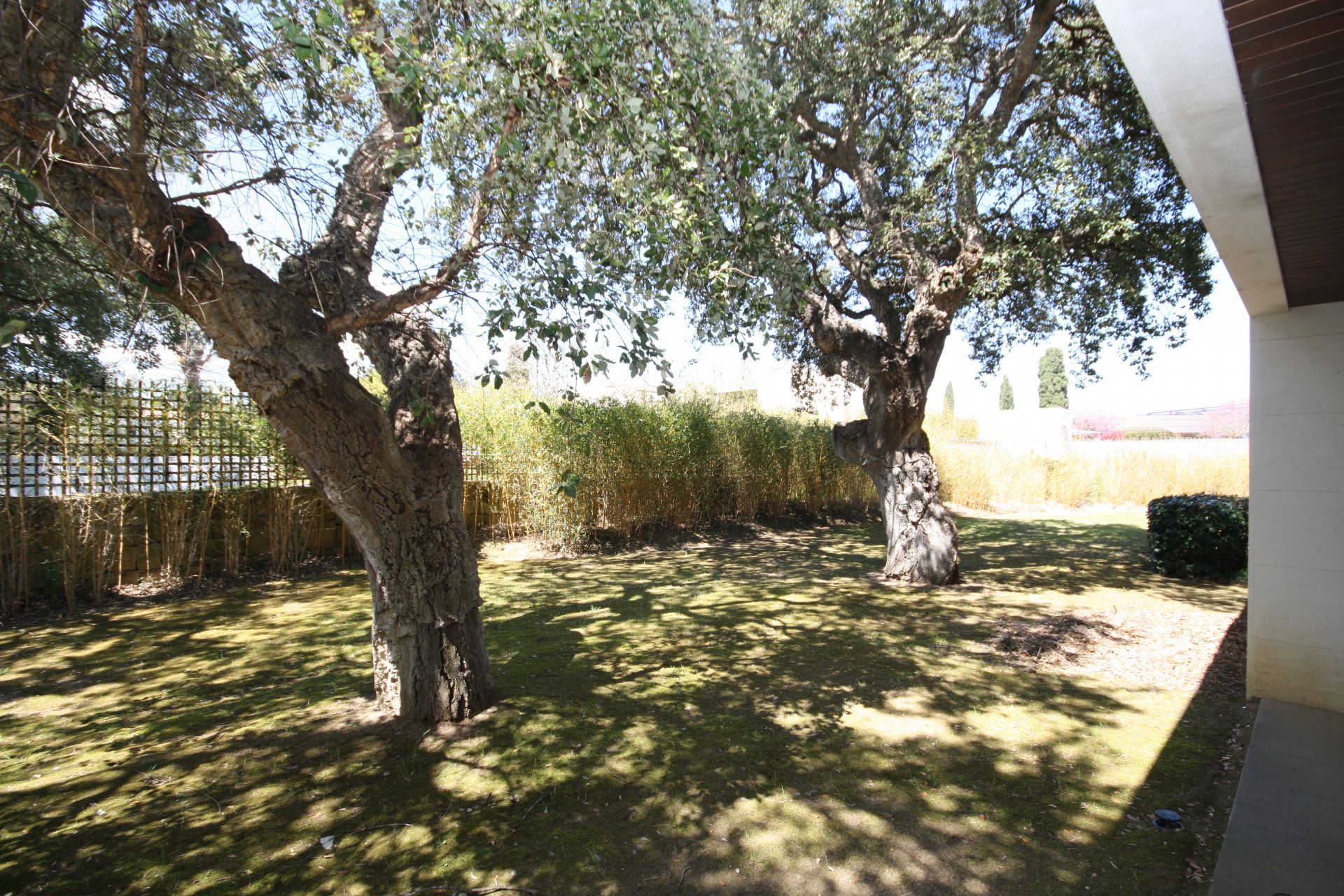 Condominium in Guadiaro, Andalusië 12801364