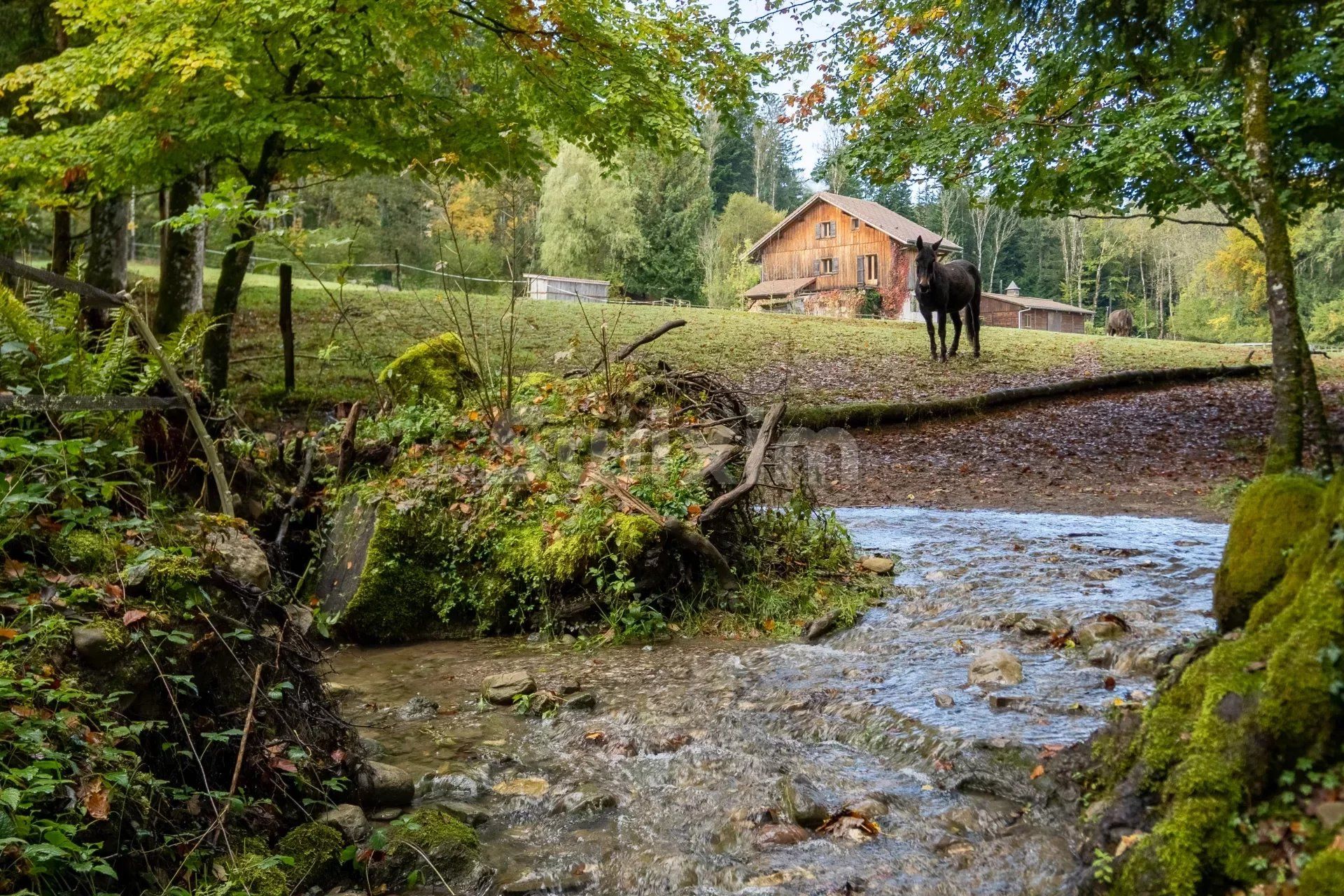 Εμπορικός σε Saint-André-de-Boëge, Haute-Savoie 12803066