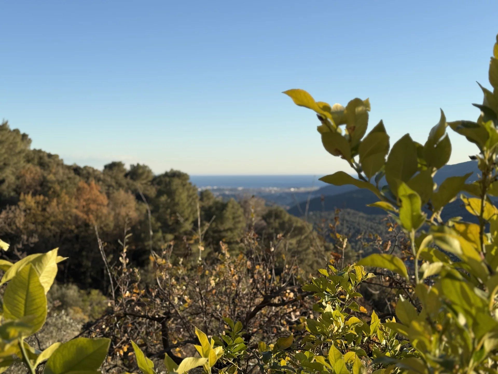 Rumah di taksi, Provence-Alpes-Cote d'Azur 12803087