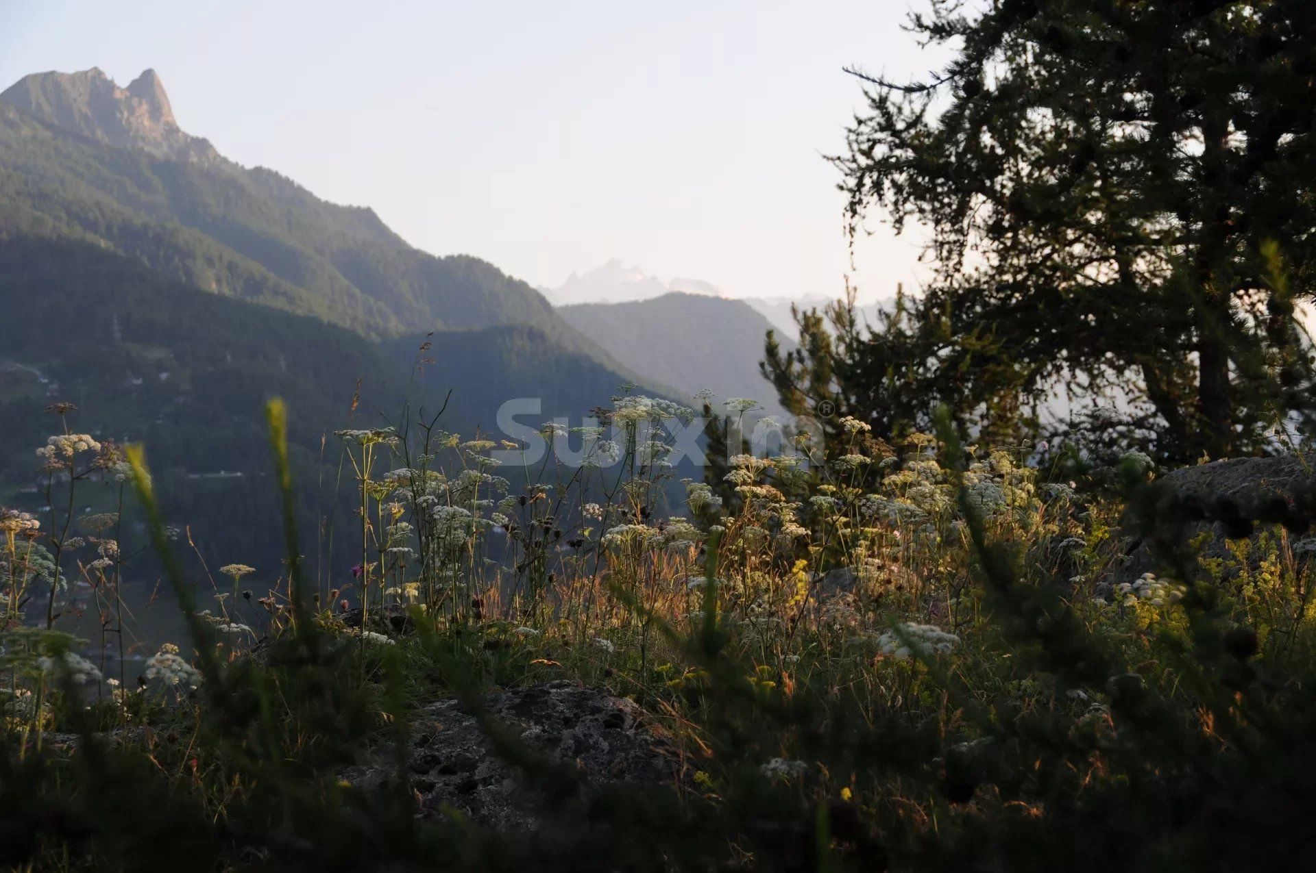 rumah dalam Isérables, District de Martigny 12803112