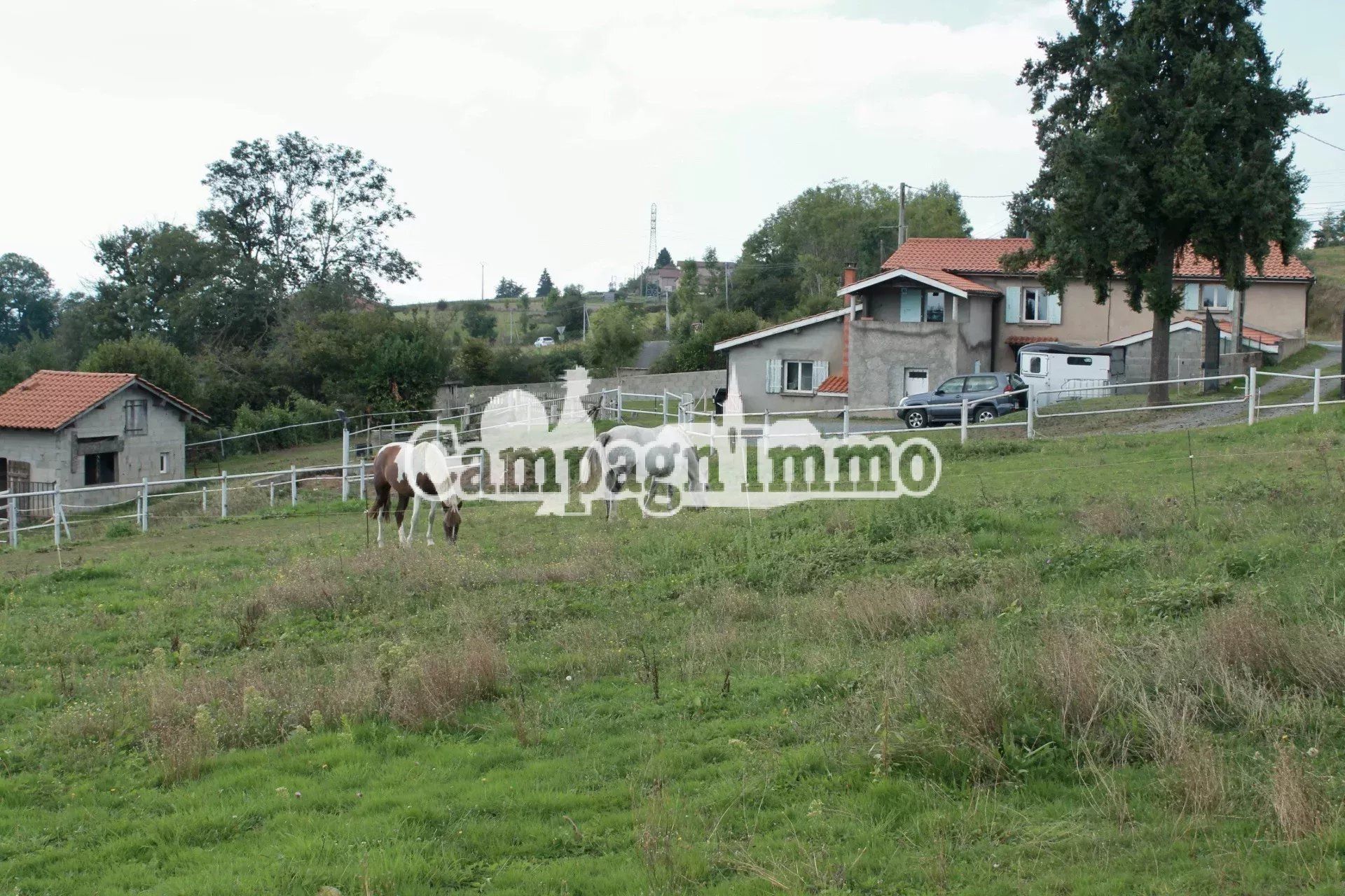 casa en Bussieres, Auvergne-Rhone-Alpes 12803141