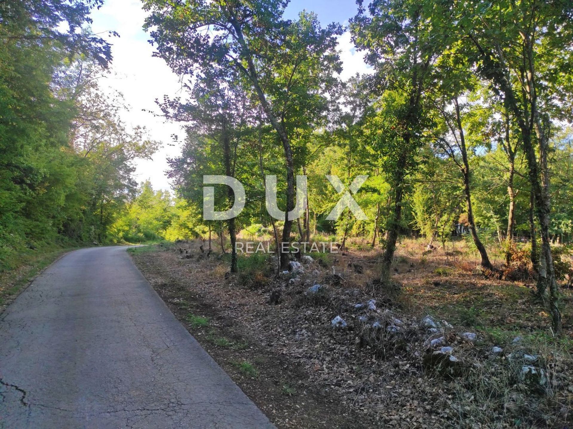 土地 在 Motovun, Istria County 12804416