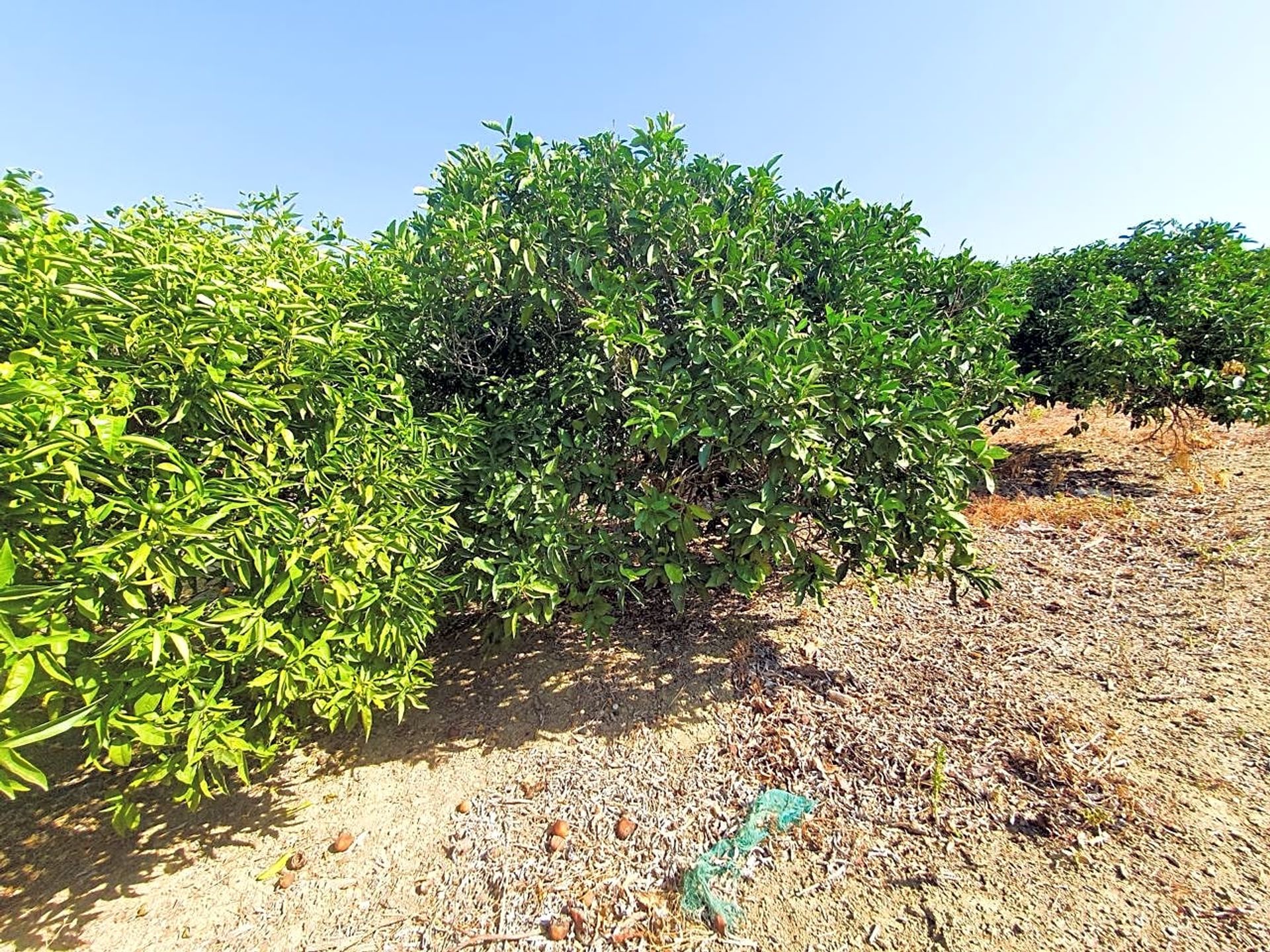 σπίτι σε Jimena de la Frontera, Andalucía 12804555