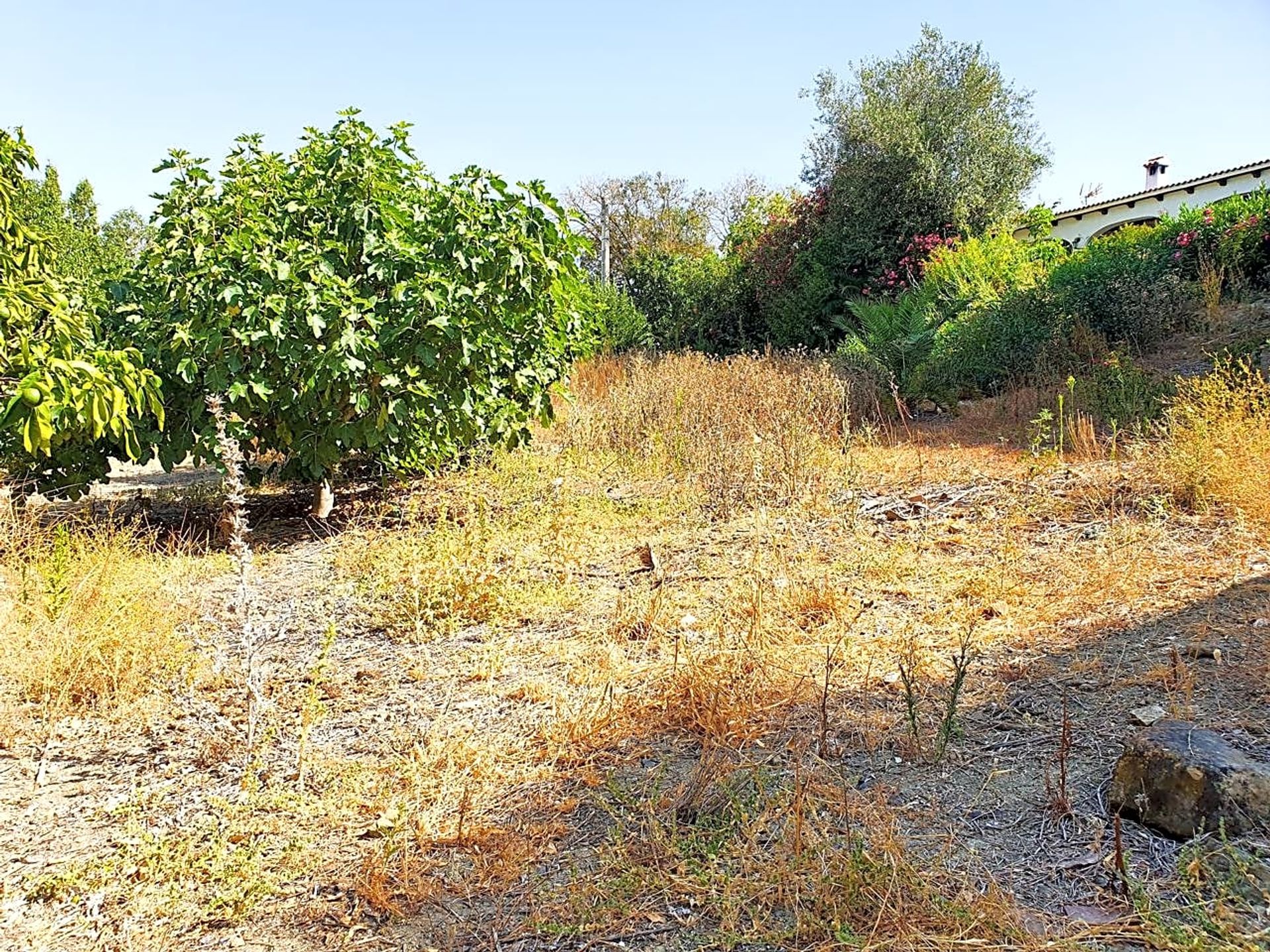 σπίτι σε Jimena de la Frontera, Andalucía 12804555