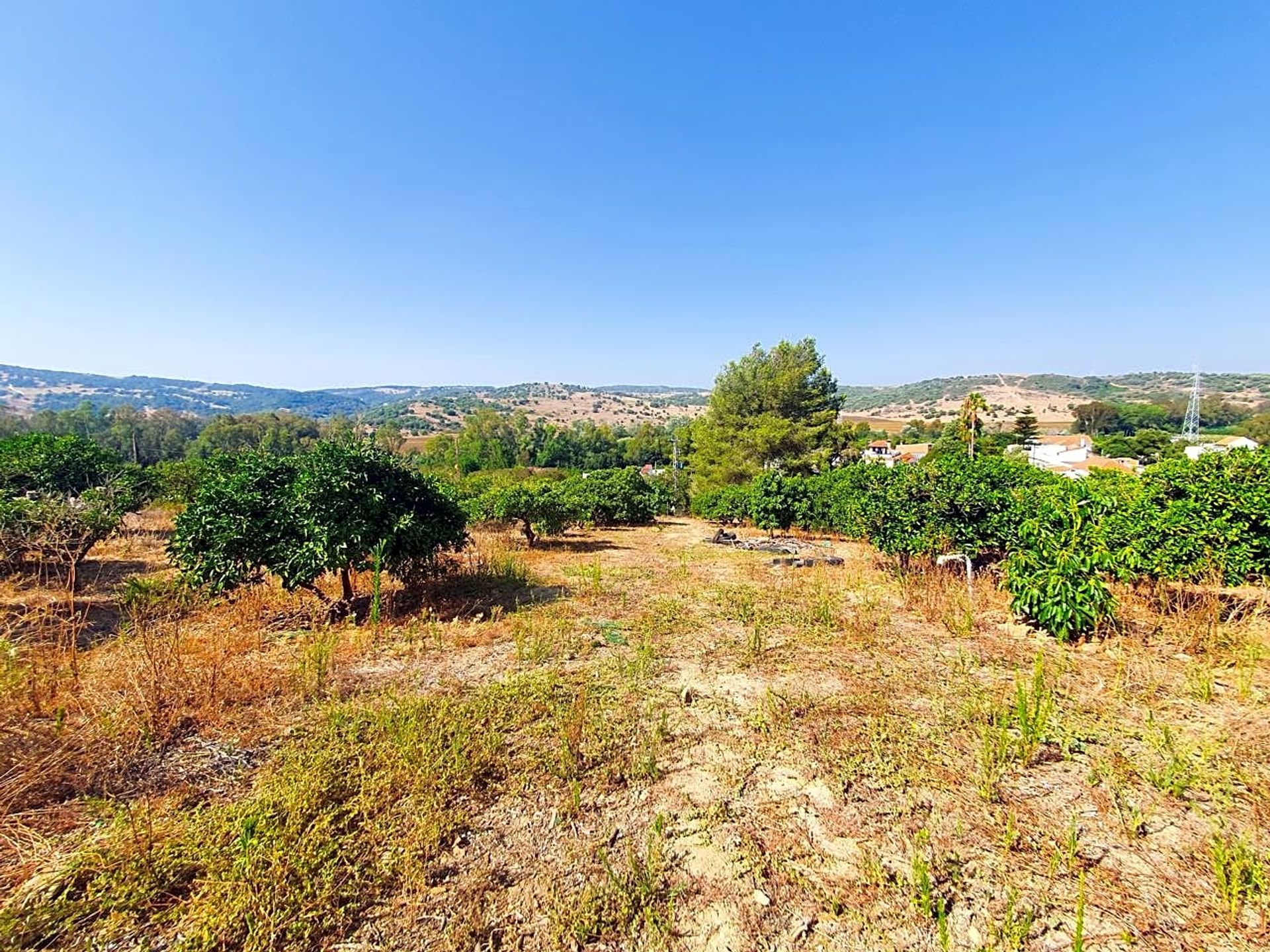 σπίτι σε Jimena de la Frontera, Andalucía 12804555