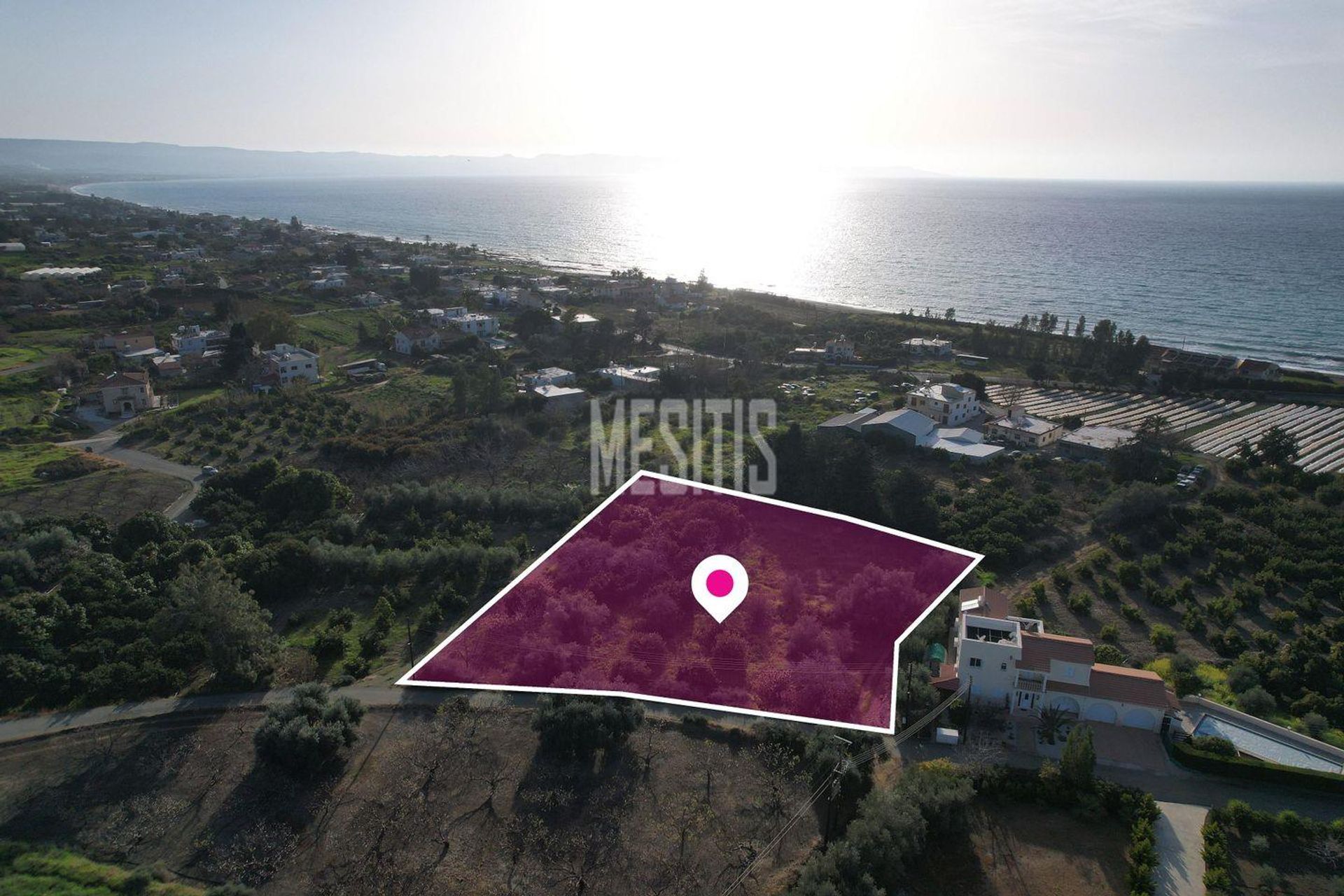 Terra no Pólis, Pafos 12804599