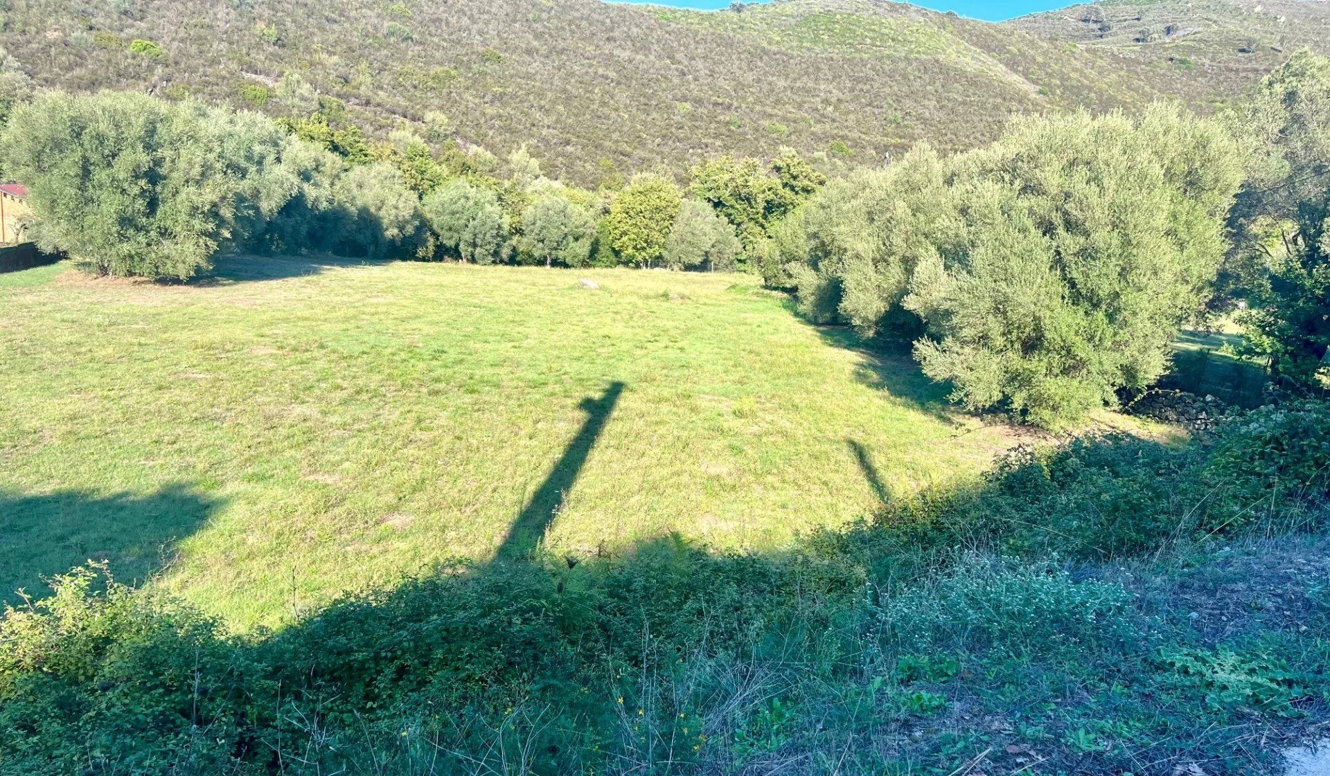 Земля в Valle-di-Rostino, Корсика 12805167