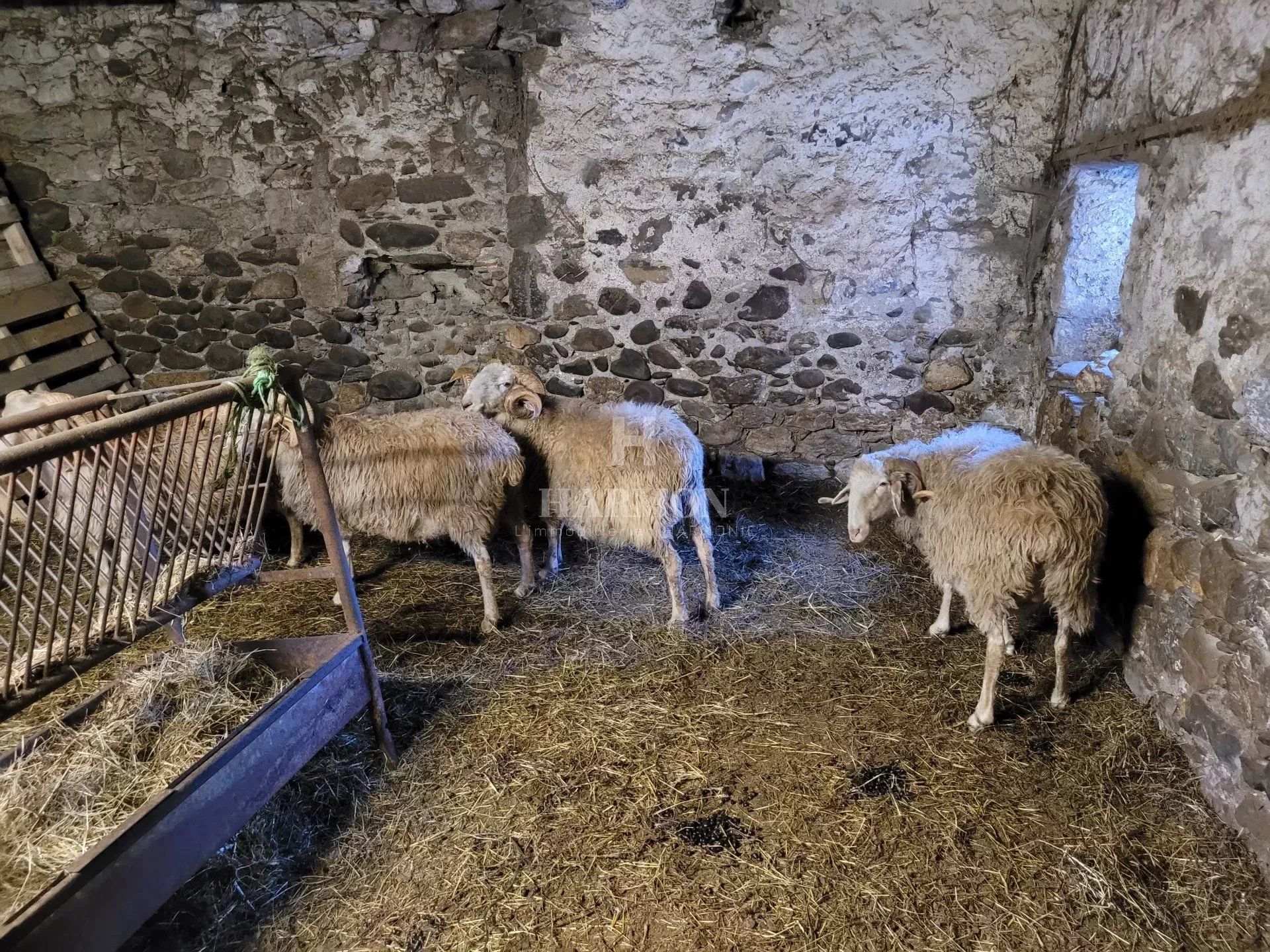 Résidentiel dans Lées-Athas, Pyrénées-Atlantiques 12805212