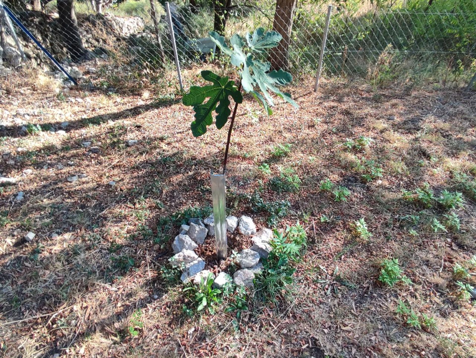 Terre dans Baska, Primorsko-Goranska Zupanija 12805933