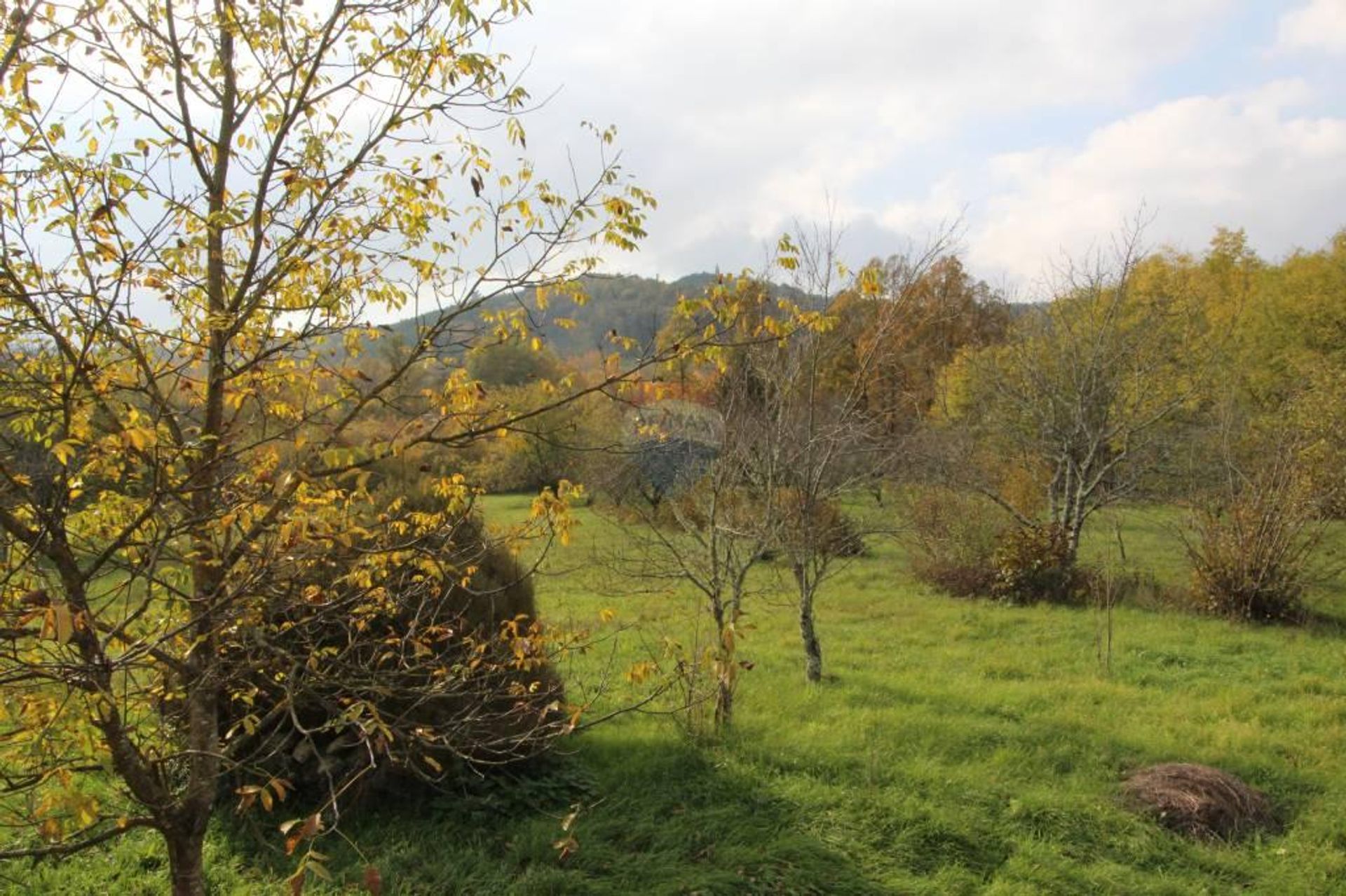 casa en Lindar, Istarska županija 12806689