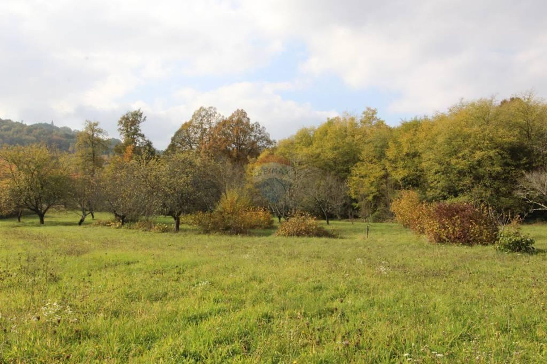 casa en Lindar, Istarska županija 12806689