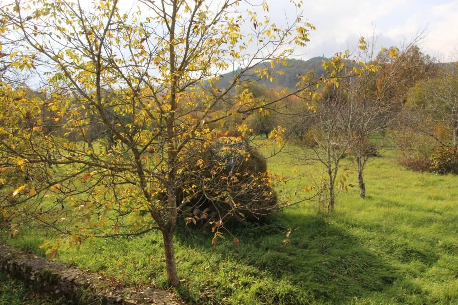 casa en Lindar, Istarska županija 12806689