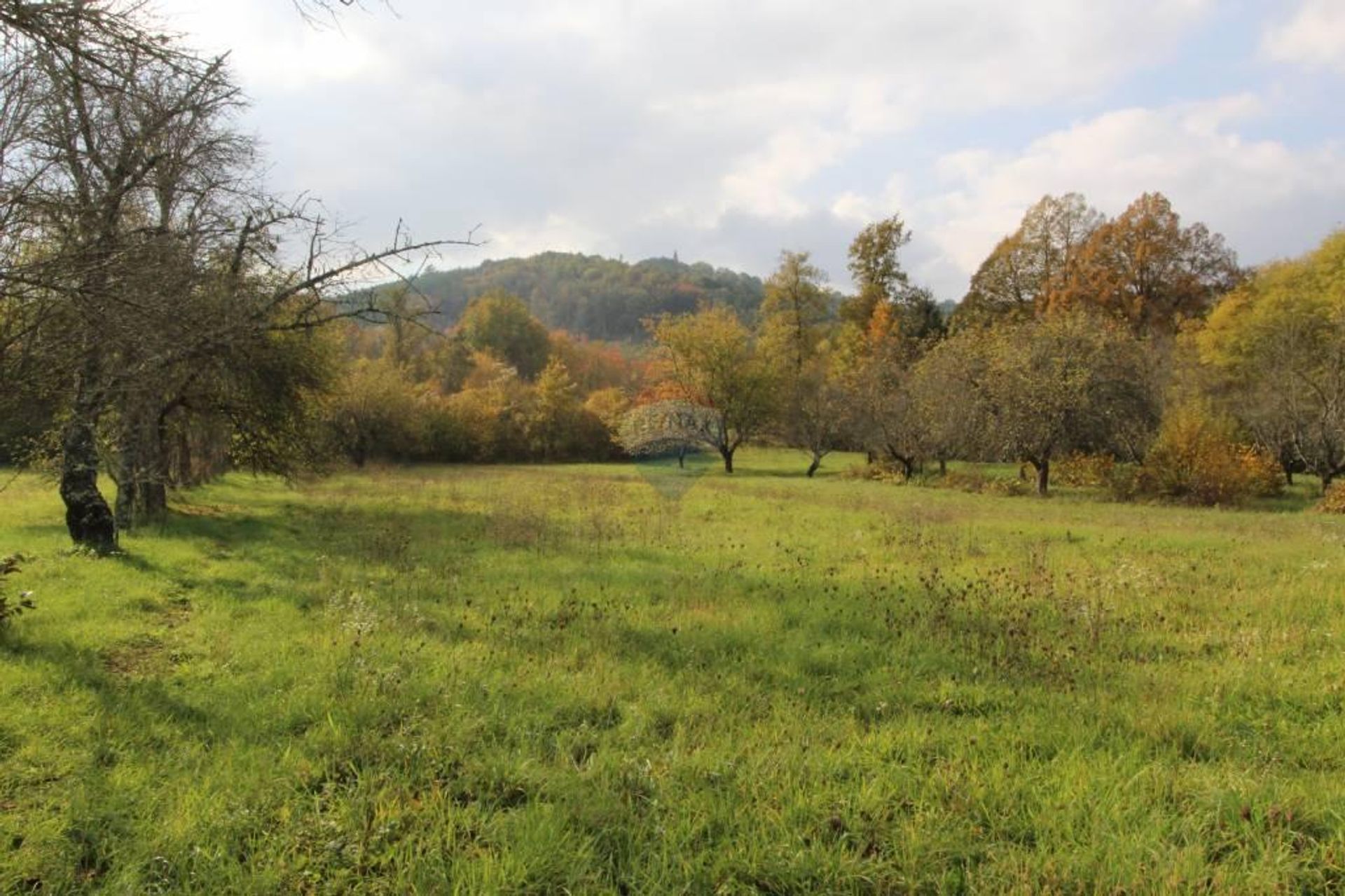 casa en Lindar, Istarska županija 12806689