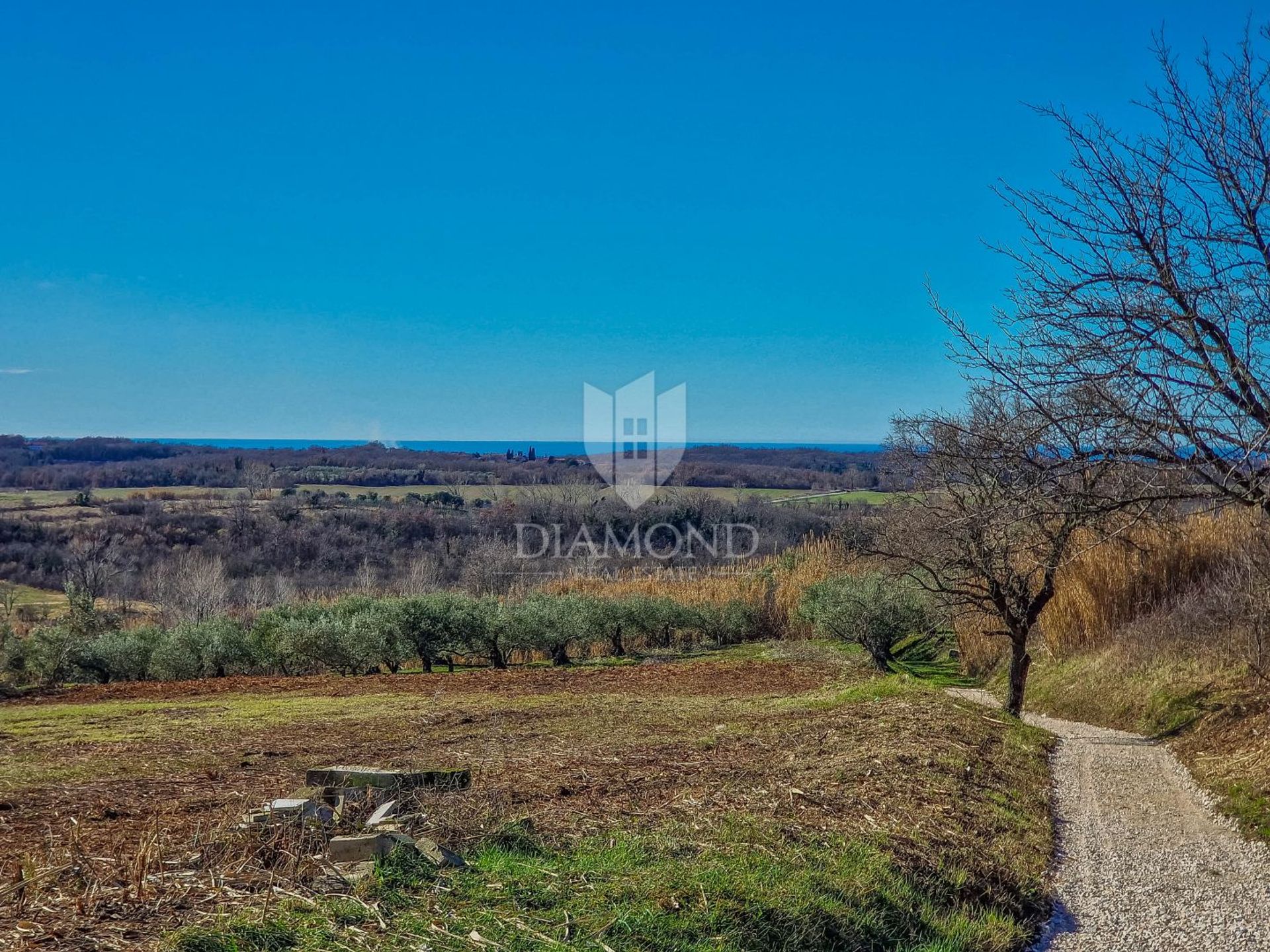 Tanah di Buje, Istria County 12807056