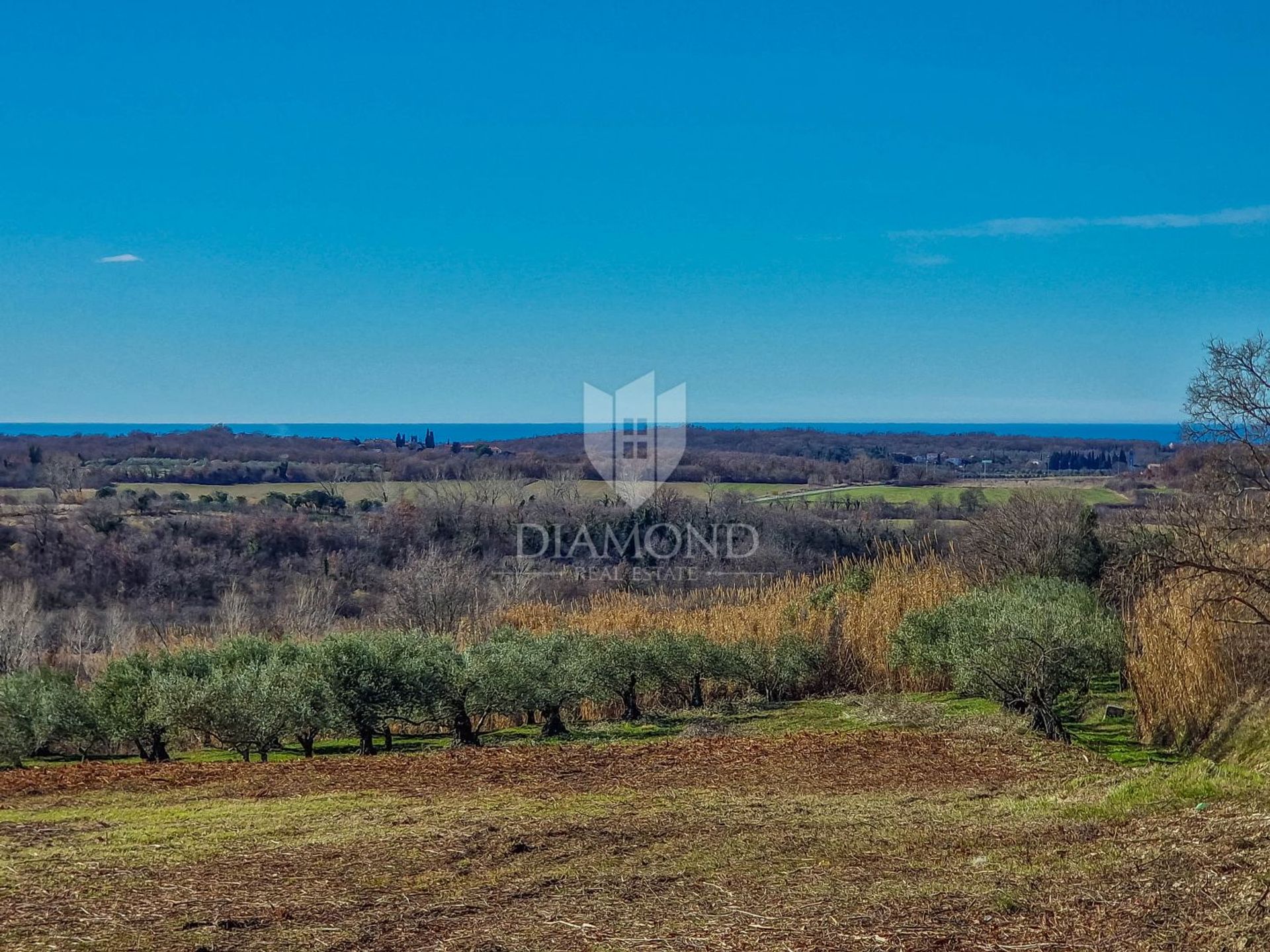 Land in Buje, Istria County 12807056