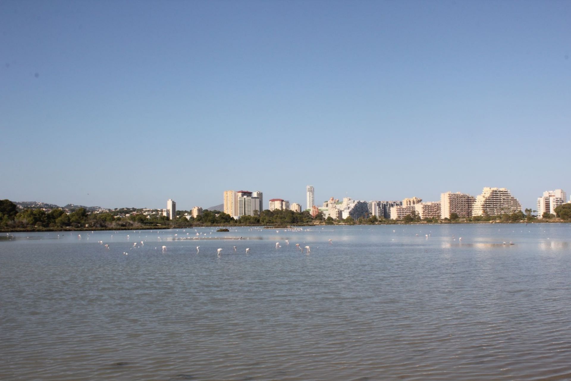 Condomínio no Calpe, Comunidad Valenciana 12808558