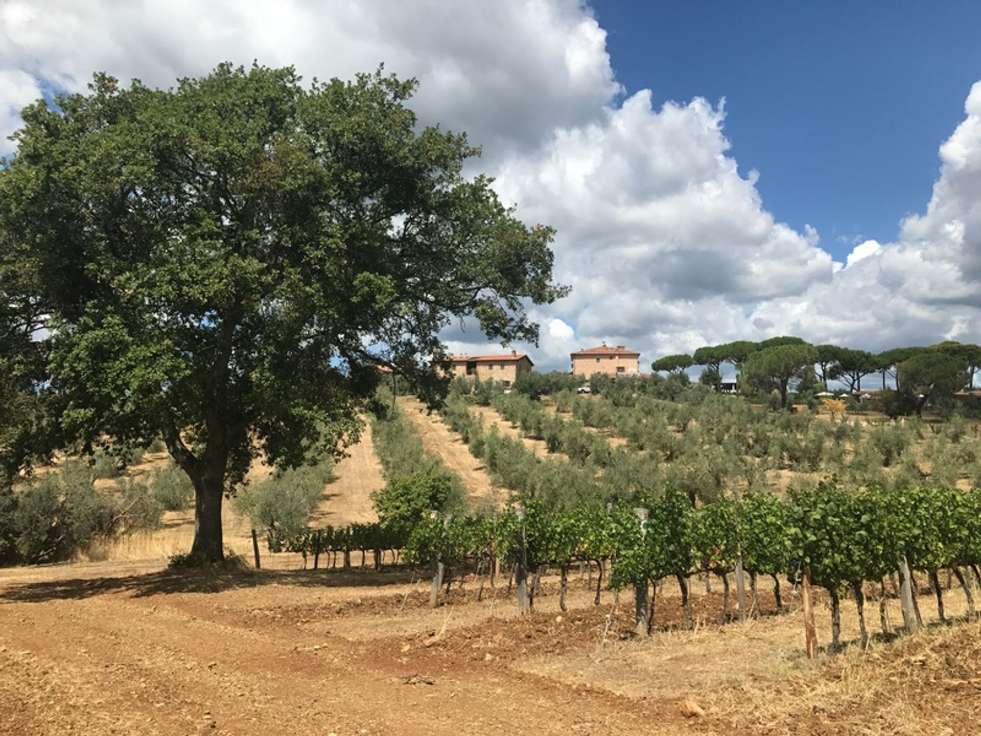 casa en Massa Marittima, Toscana 12808909