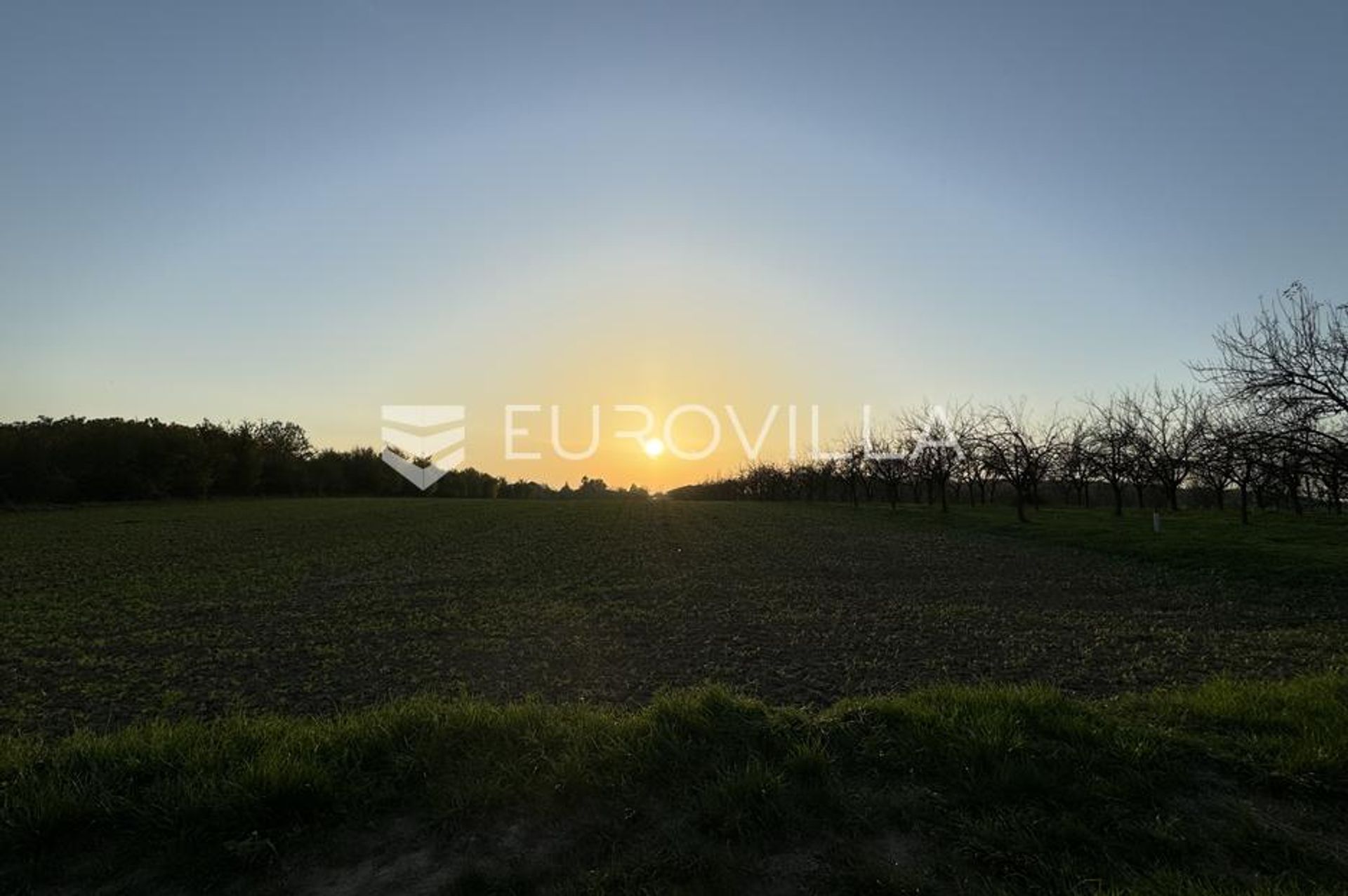 Terra no Dakovo, Osjecko-Baranjska Zupanija 12809277