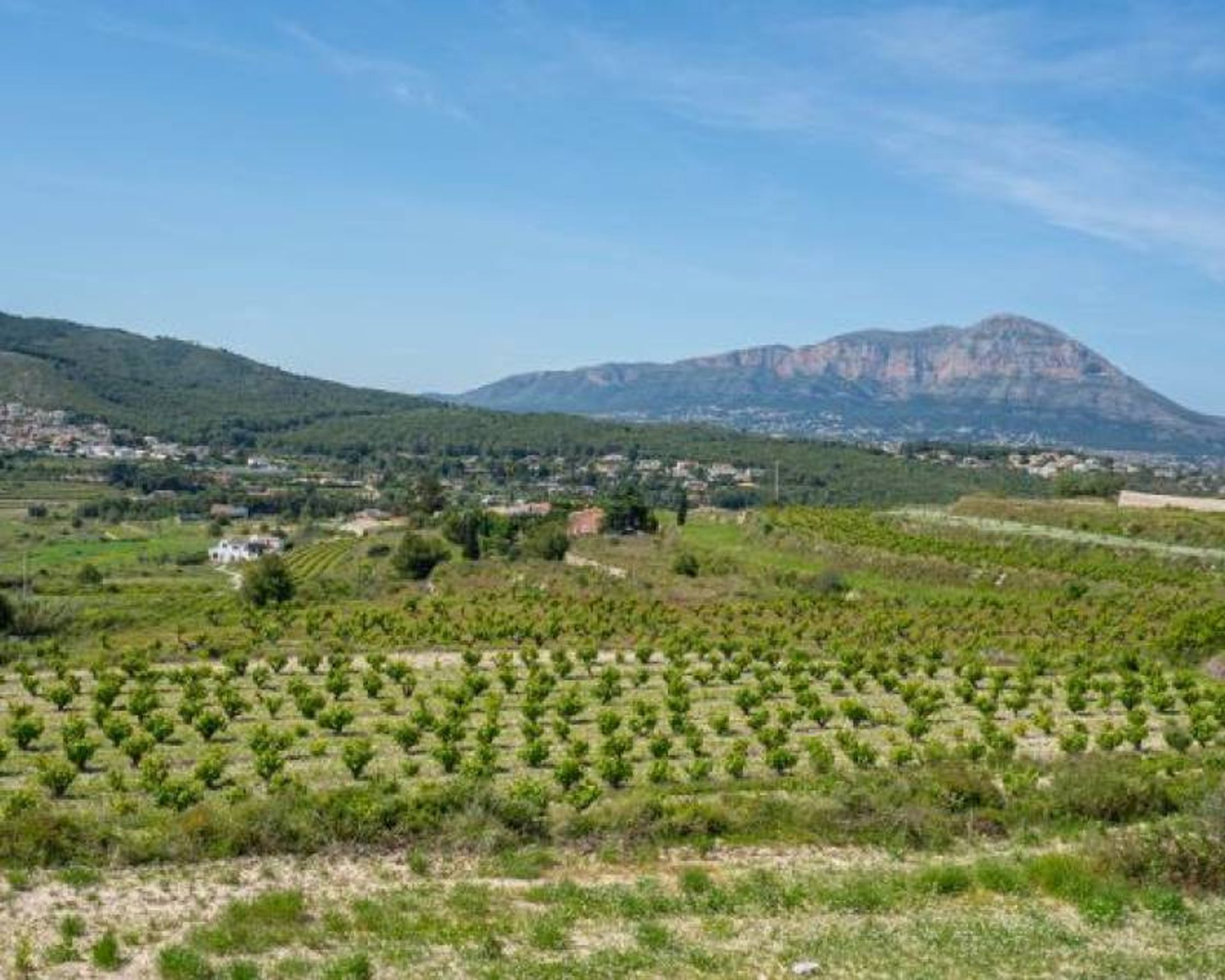 Hus i Benitachell, Valencian Community 12809554