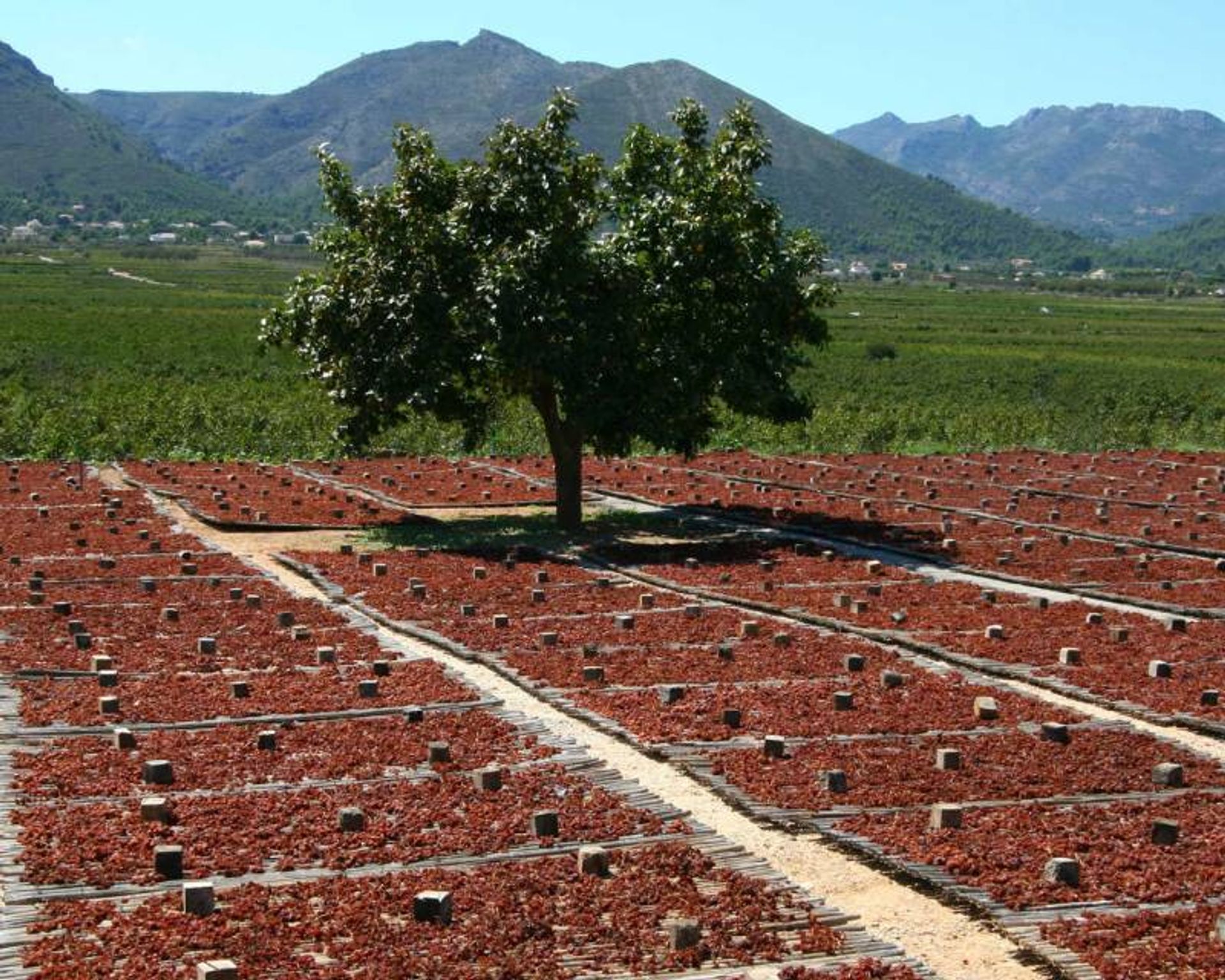 Rumah di Llíber, Comunidad Valenciana 12809725